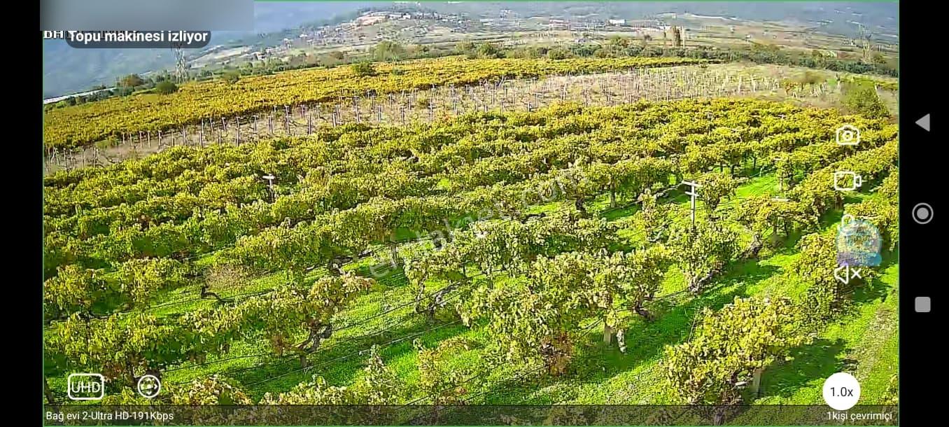 Pamukova'da Satılık 5146 M2 Üzüm Bağı — fotoğraf 5