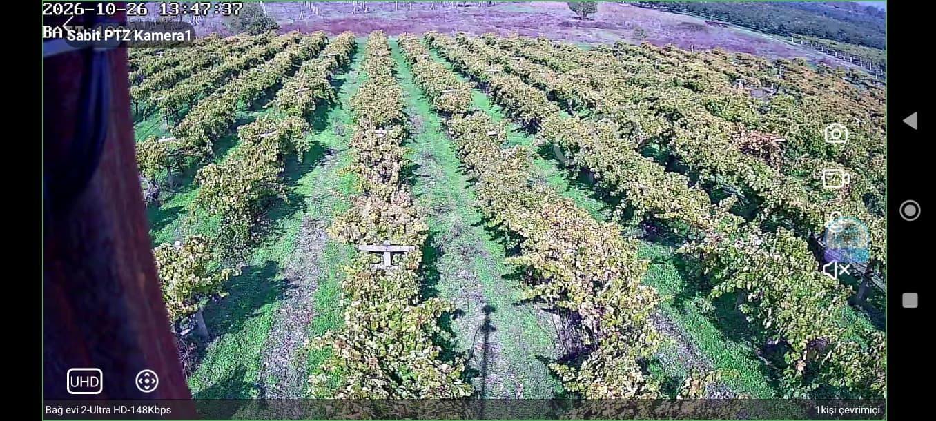 Pamukova'da Satılık 5146 M2 Üzüm Bağı — fotoğraf 7