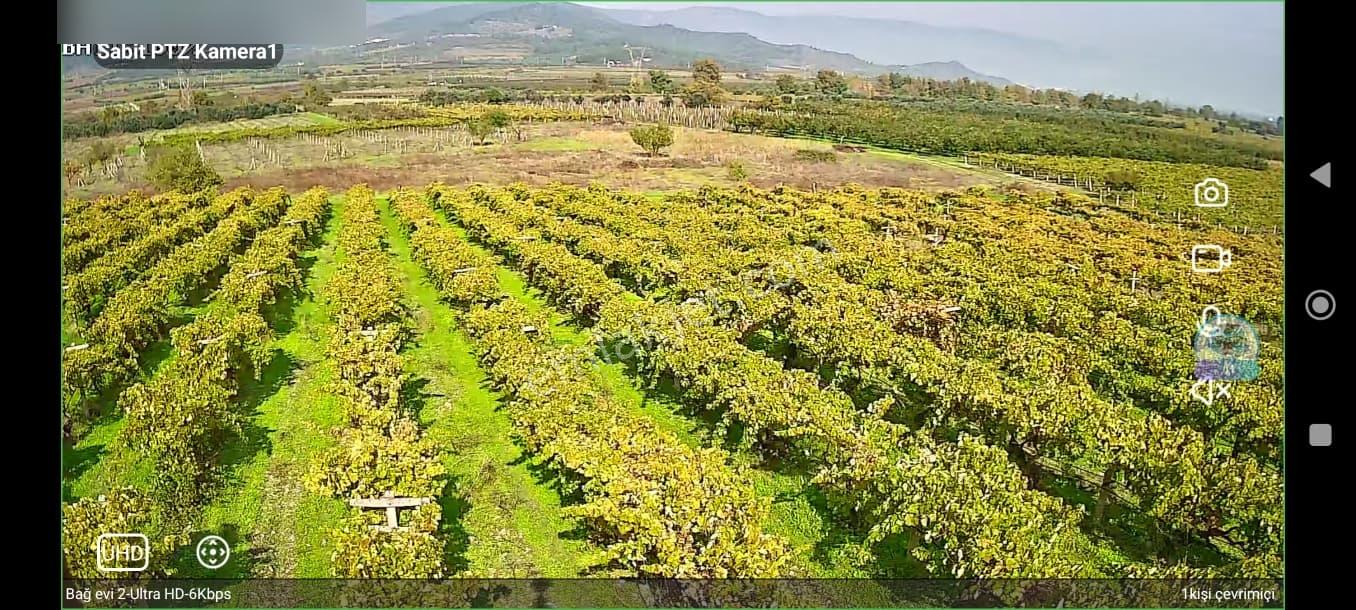 Pamukova'da Satılık 5146 M2 Üzüm Bağı — fotoğraf 8