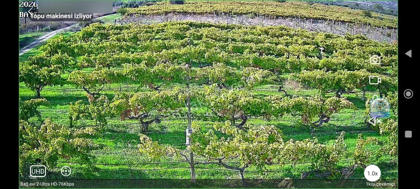 Pamukova'da Satılık 5146 M2 Üzüm Bağı — fotoğraf 10