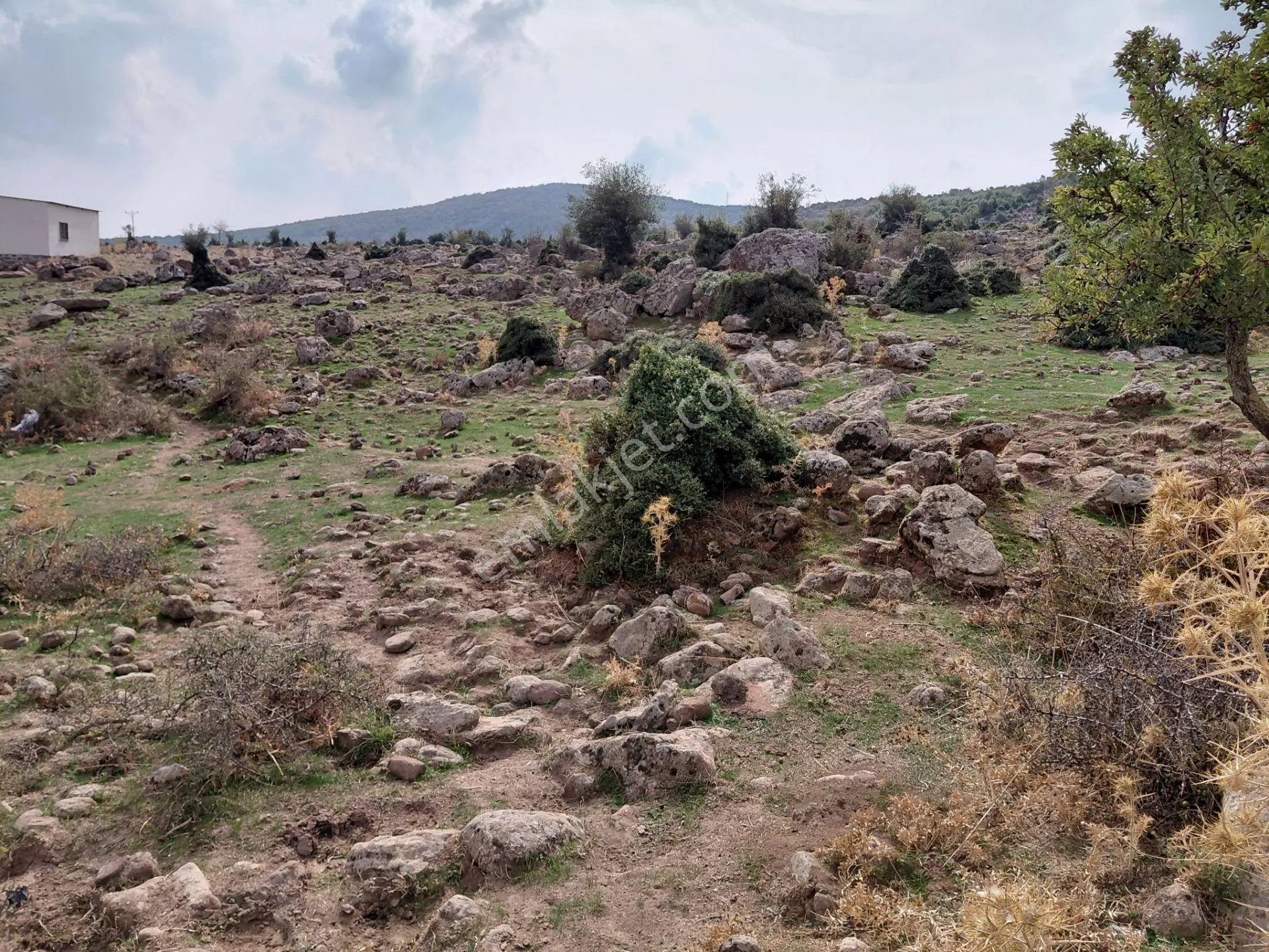 Yunusemre Pınarköy De 6.adet Villalık İmarlı 1.020 M2 Arsa — fotoğraf 5
