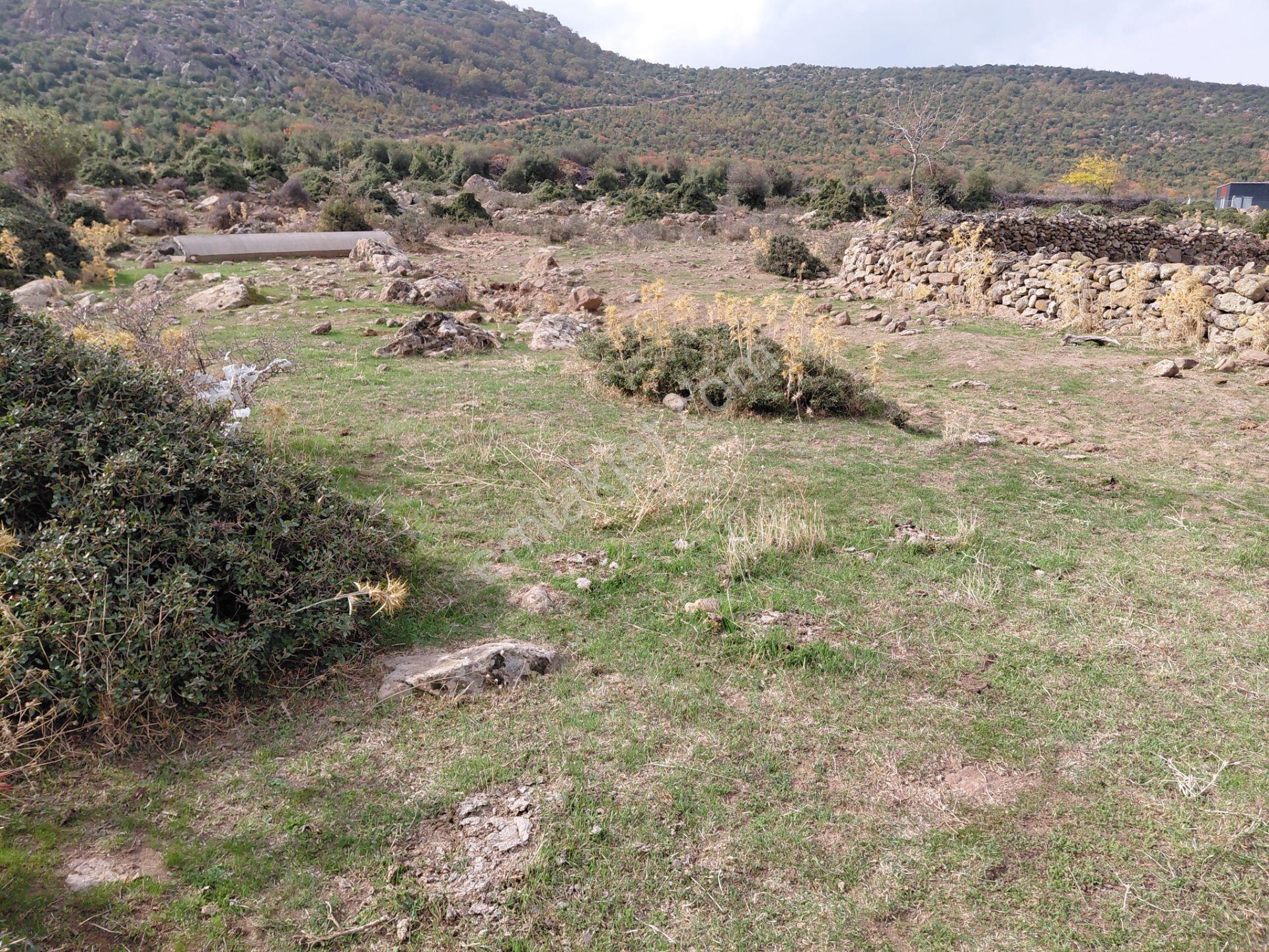 Yunusemre Pınarköy De 6.adet Villalık İmarlı 1.020 M2 Arsa — fotoğraf 6