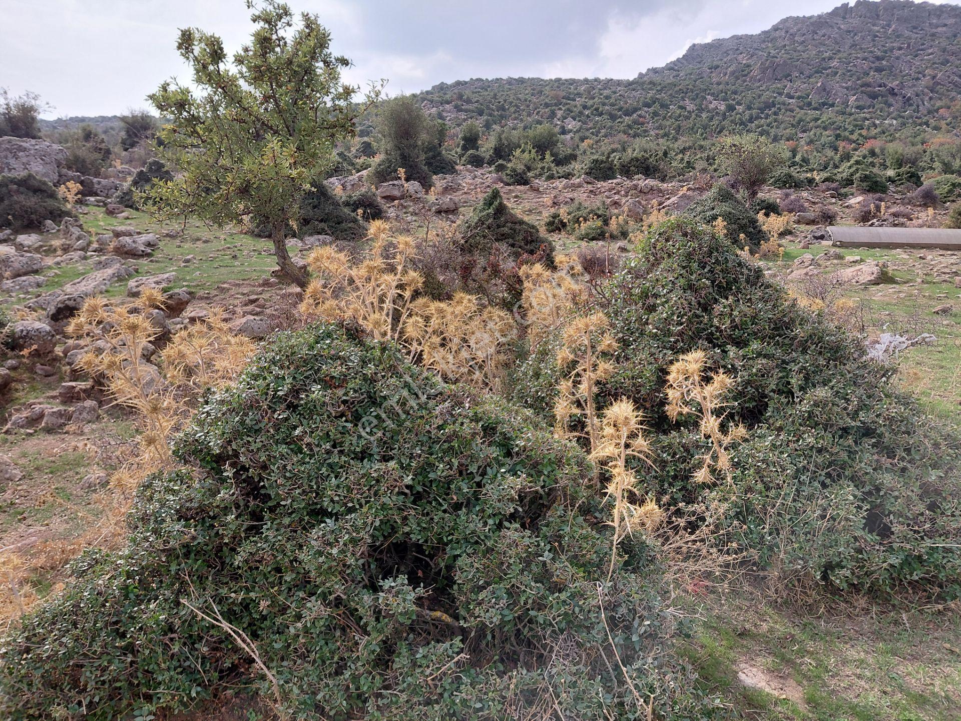 Yunusemre Pınarköy De 6.adet Villalık İmarlı 1.020 M2 Arsa — fotoğraf 7