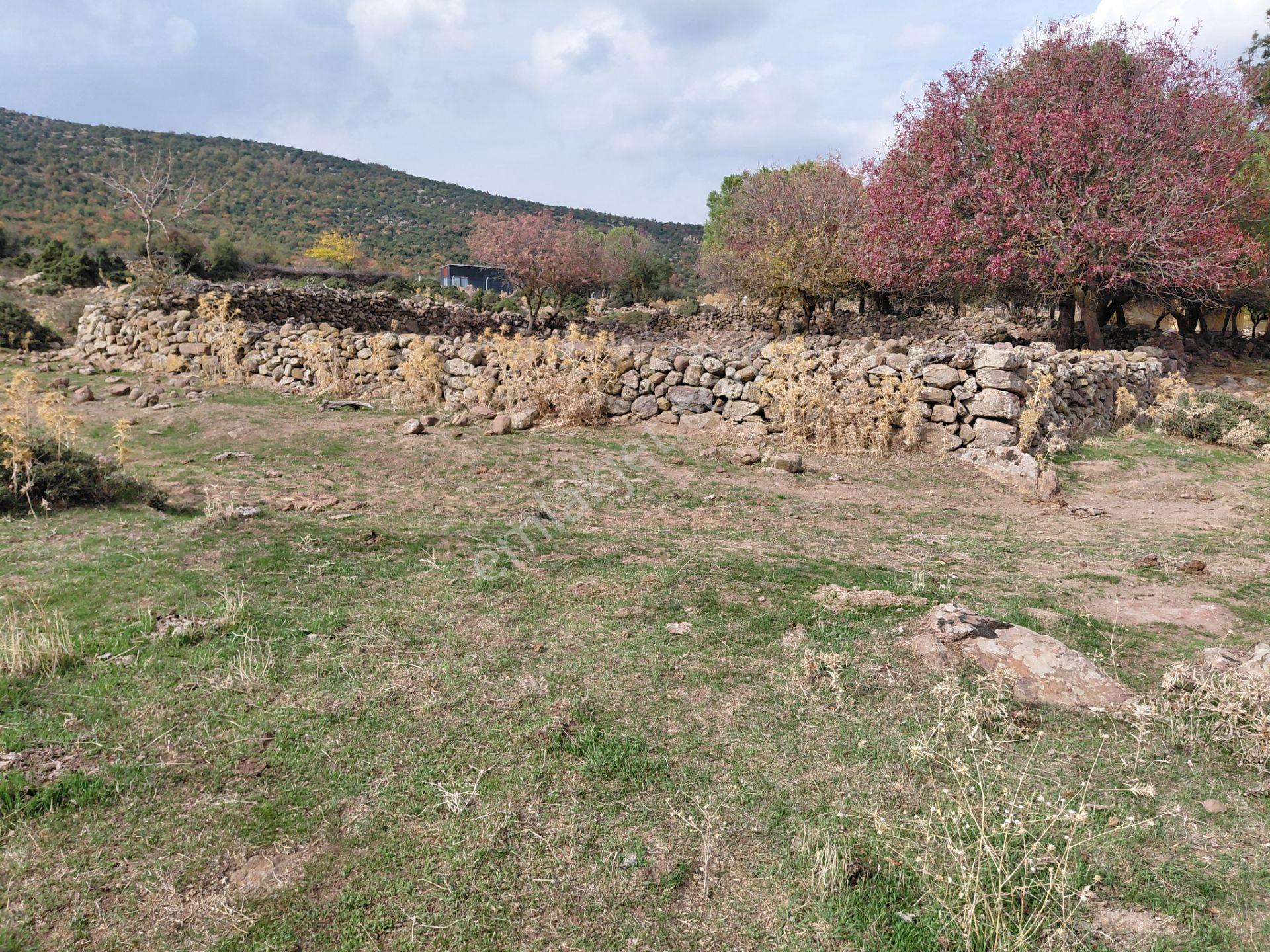 Yunusemre Pınarköy De 6.adet Villalık İmarlı 1.020 M2 Arsa — fotoğraf 8