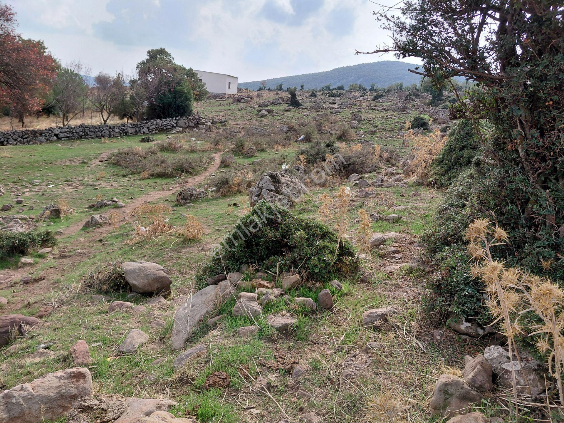 Yunusemre Pınarköy De 6.adet Villalık İmarlı 1.020 M2 Arsa — fotoğraf 11