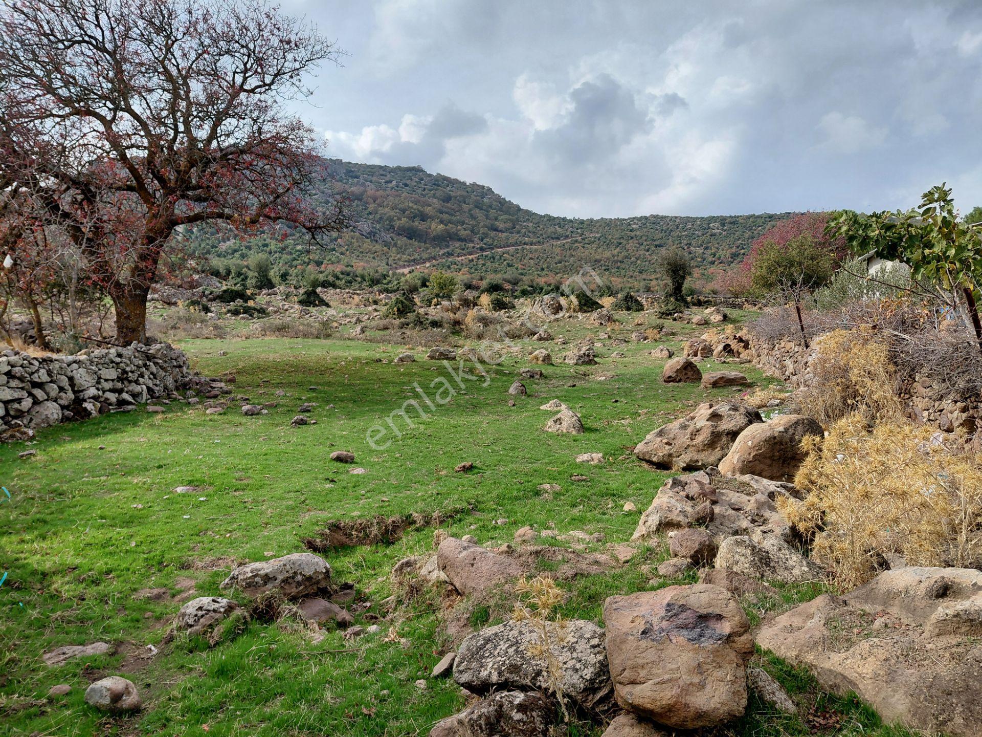 Yunusemre Pınarköy De 6.adet Villalık İmarlı 1.020 M2 Arsa — fotoğraf 13