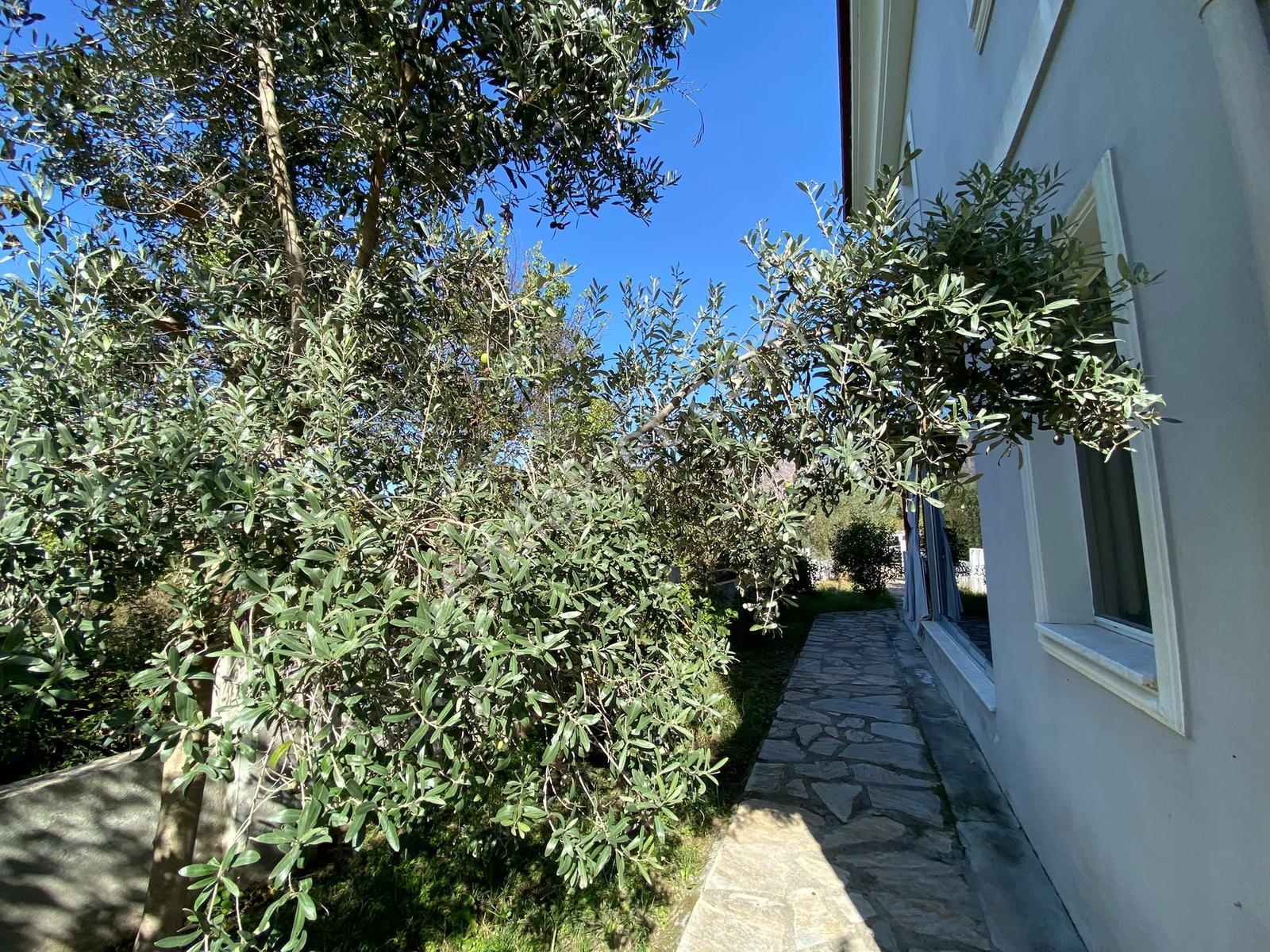 Muğla Köyceğizde Doğayla İç İçe, Prestijin Ve Huzurun Villası — fotoğraf 15