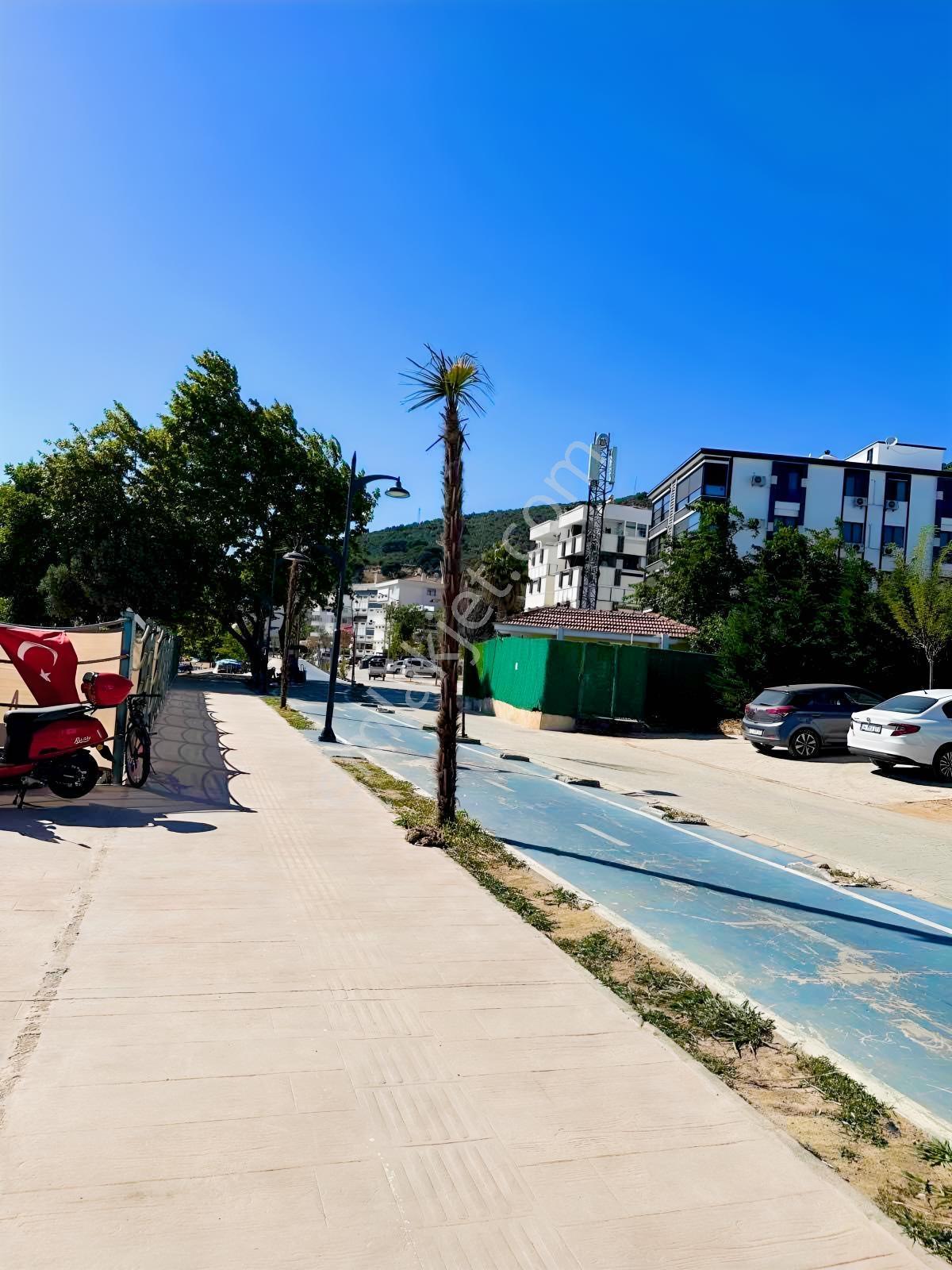 Denize Sıfır Yılandar Da 3+1 Fırsat Uygun Fiyatlı — fotoğraf 6