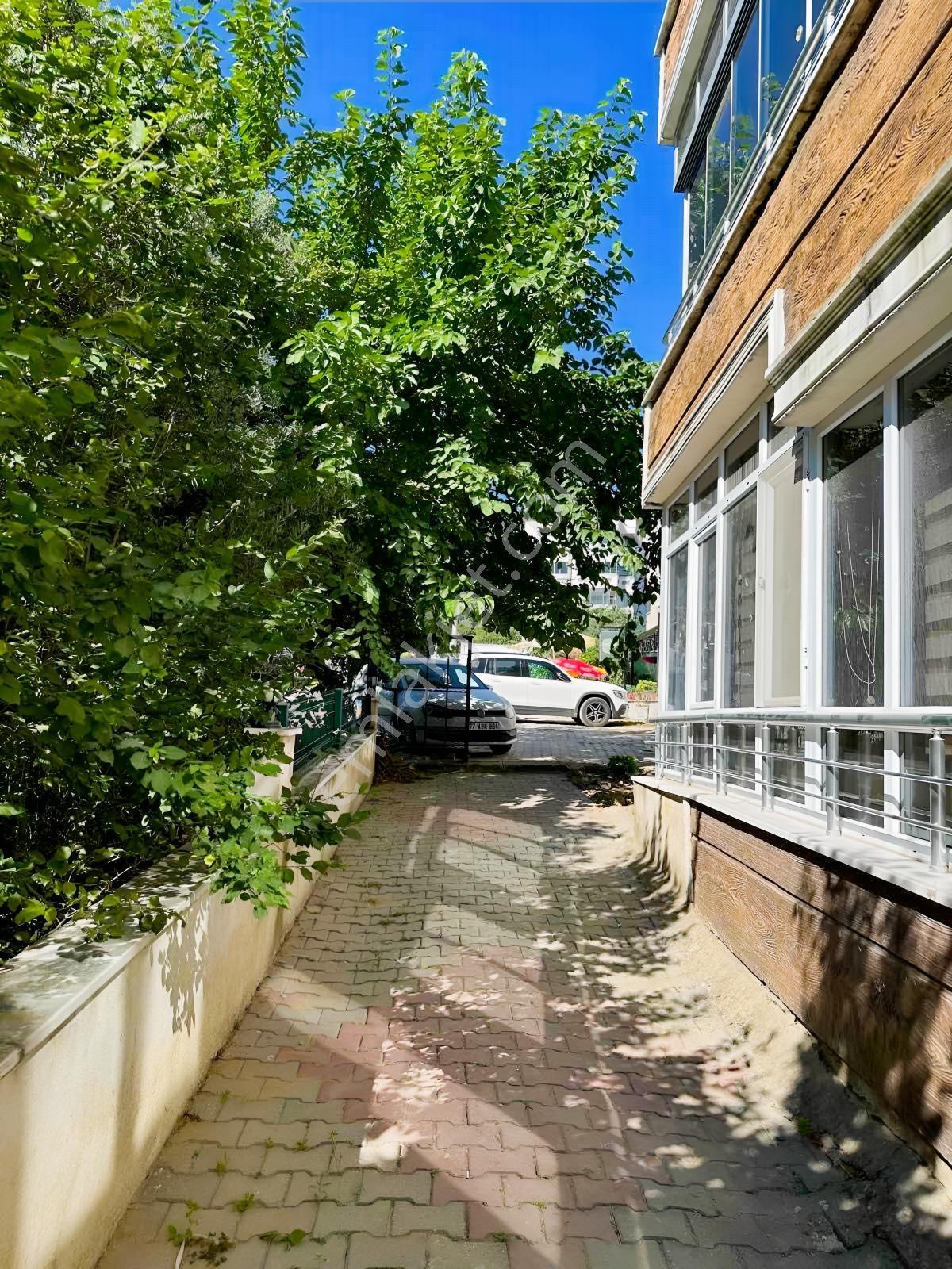Denize Sıfır Yılandar Da 3+1 Fırsat Uygun Fiyatlı — fotoğraf 7
