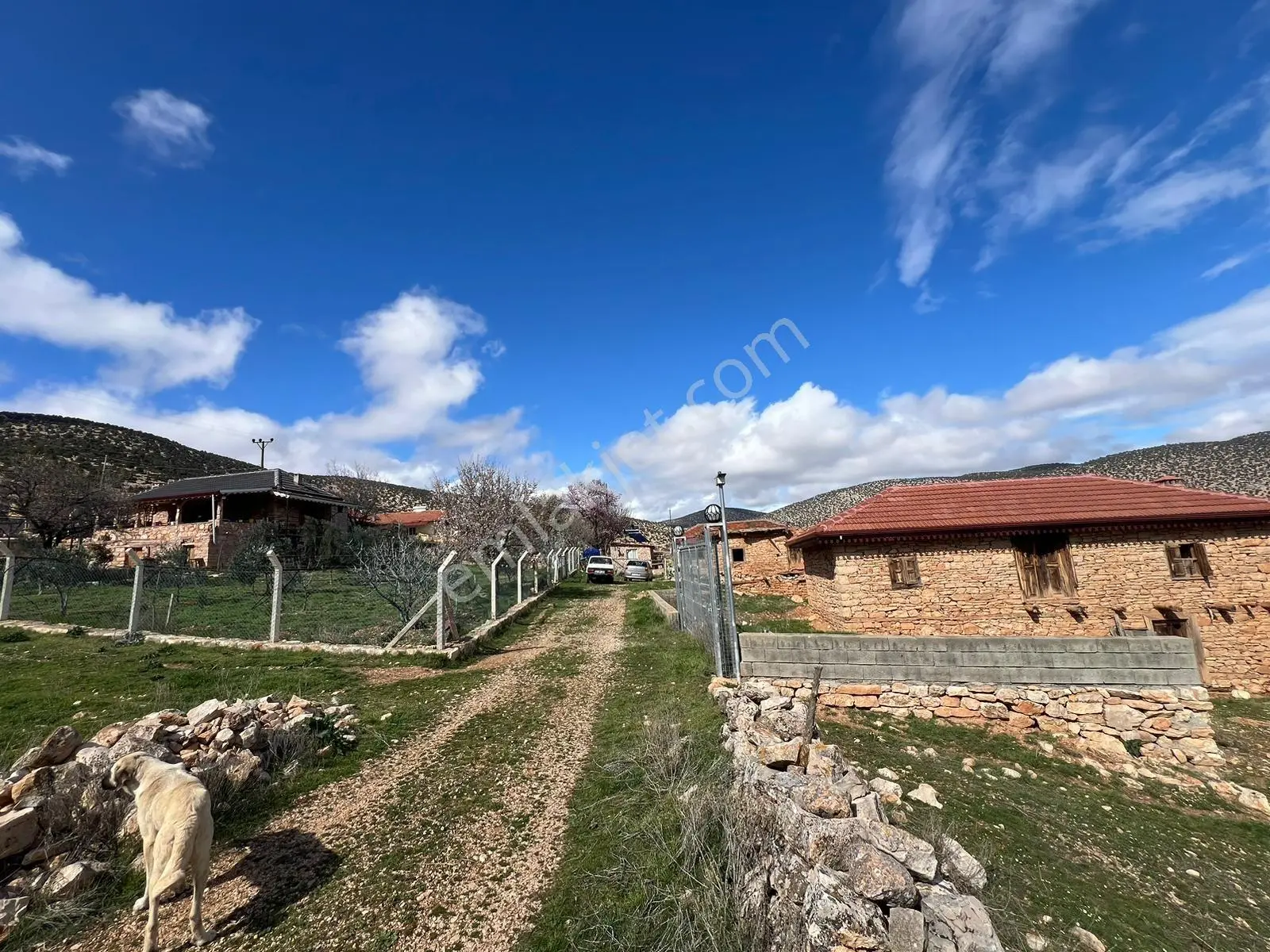 Antalya Korkuteli Beğiş De Satılık Taş Ev Arsa 518m2 Ev 2 Katlı 90m2 Yapı Kayıt Var — fotoğraf 2