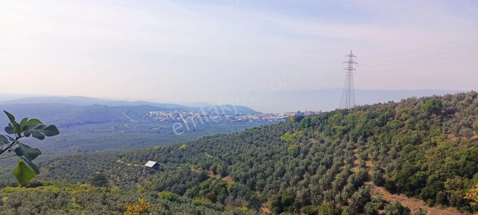 Alpaslan Emlaktan 1609M2 Manzaralı Zeytinlik