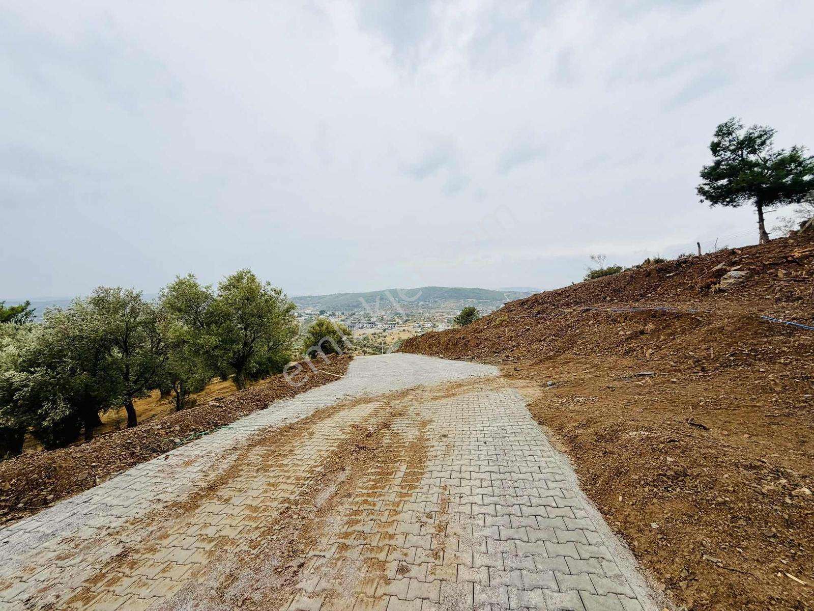 Er Yapı Emlak Kaynaklar Çınar Ağacı Yakını Tapulu Parseller — fotoğraf 2
