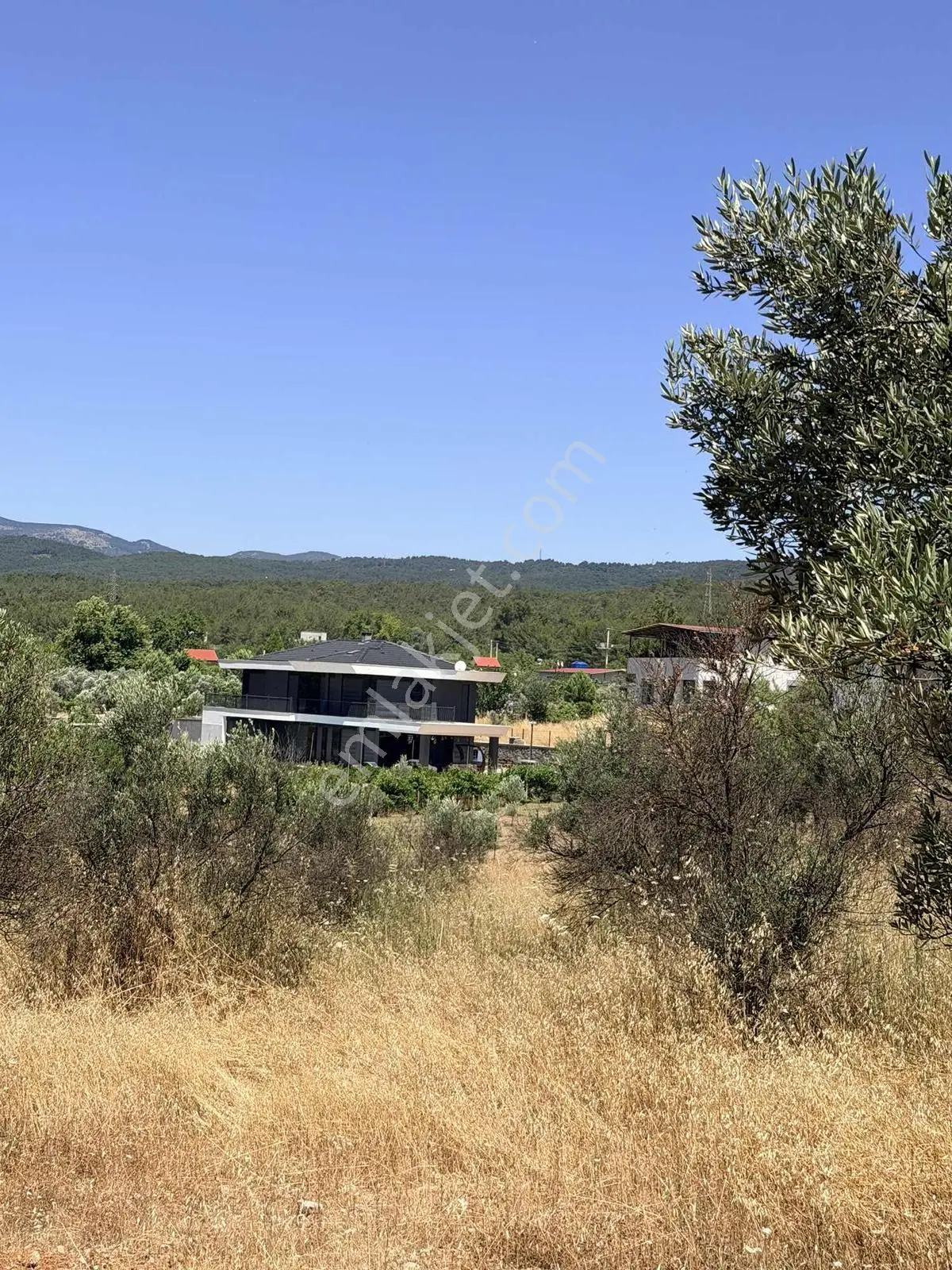 Bornova Yaka Arapalanı Mevkiinde 50 Zeytin Ağaçlı Çevrili Tarla — fotoğraf 4