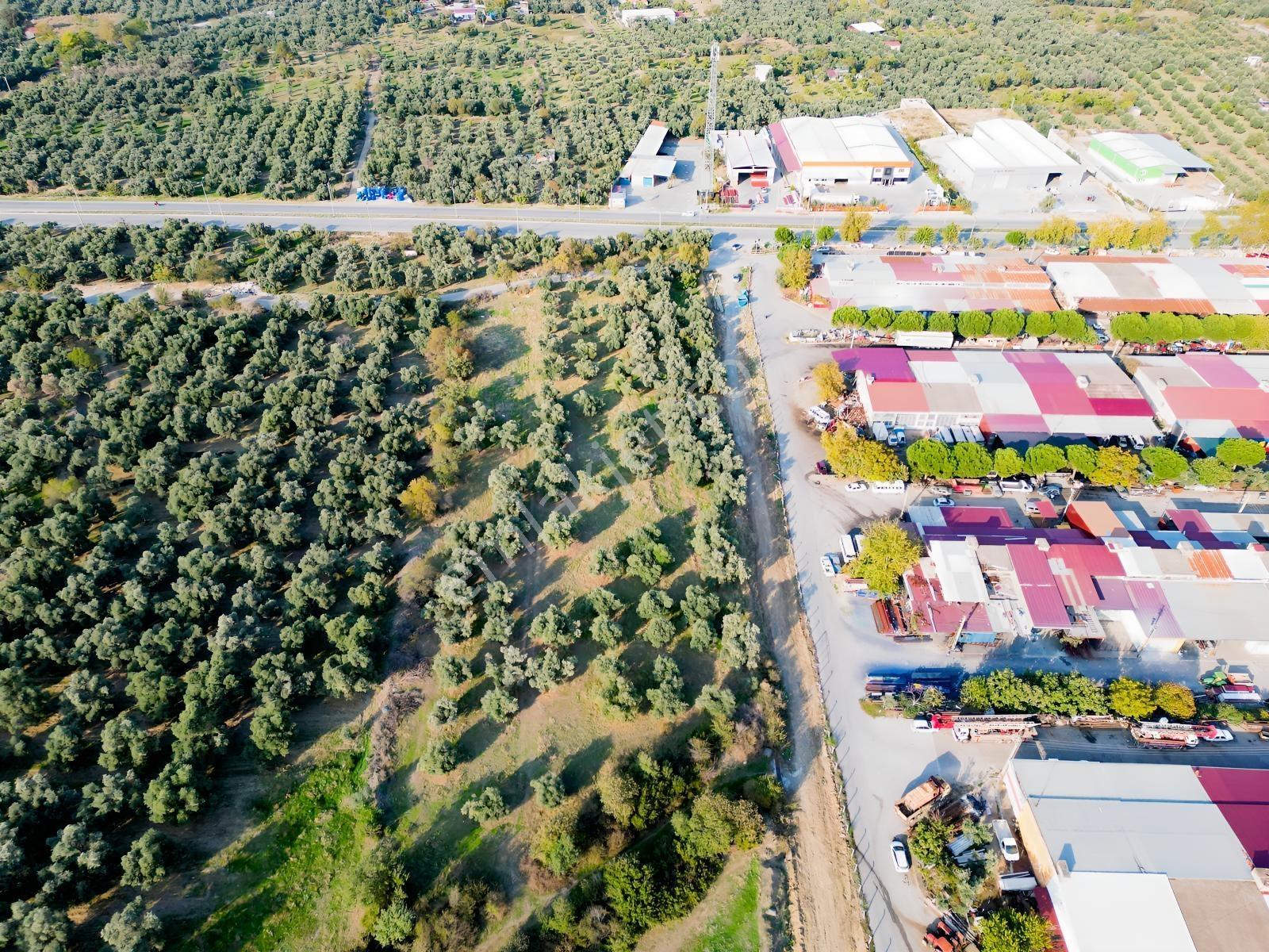 İnci Emlak'tan Duatepe Mahallesi'nde Satılık Mükemmel Arsa — fotoğraf 2
