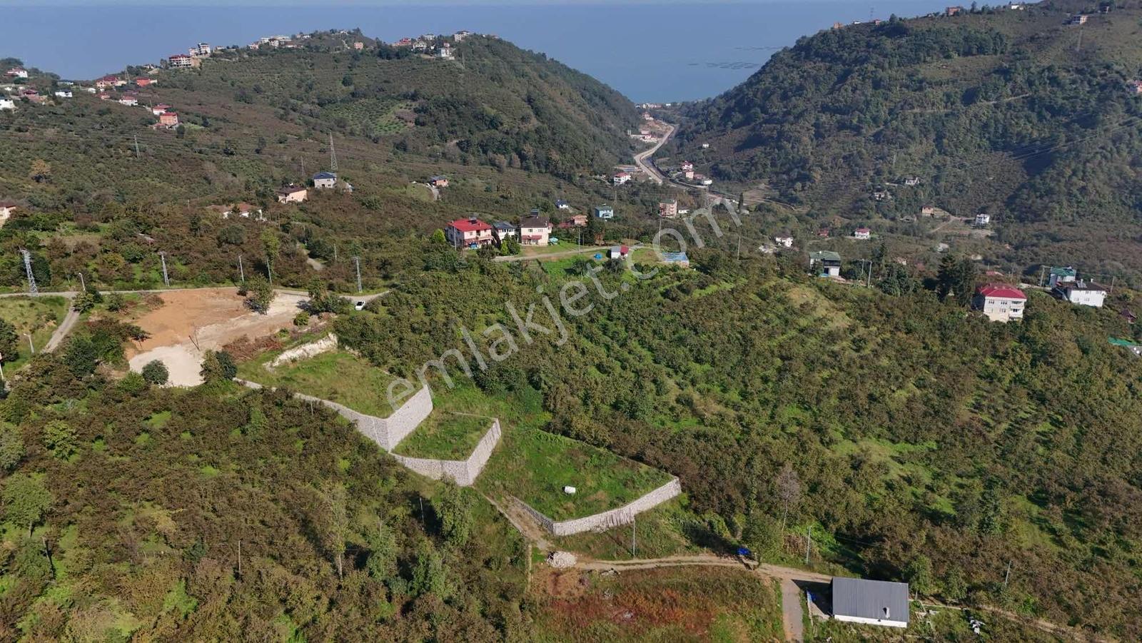 Royal Den Yomra Da Satılık Arsa