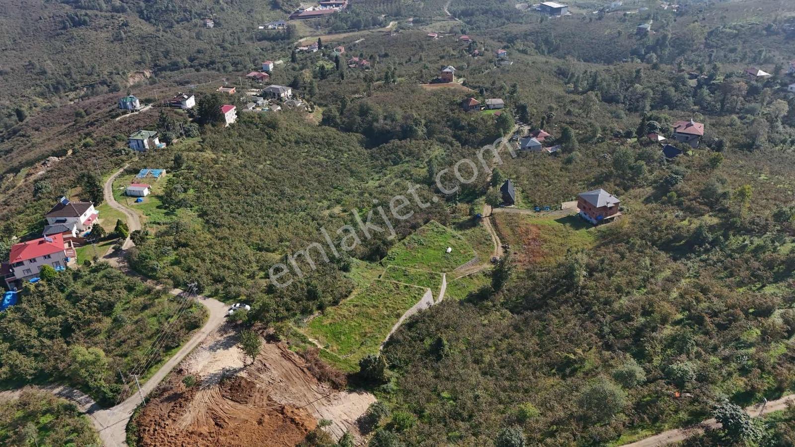 Royal Den Yomra Da Satılık Arsa — fotoğraf 5
