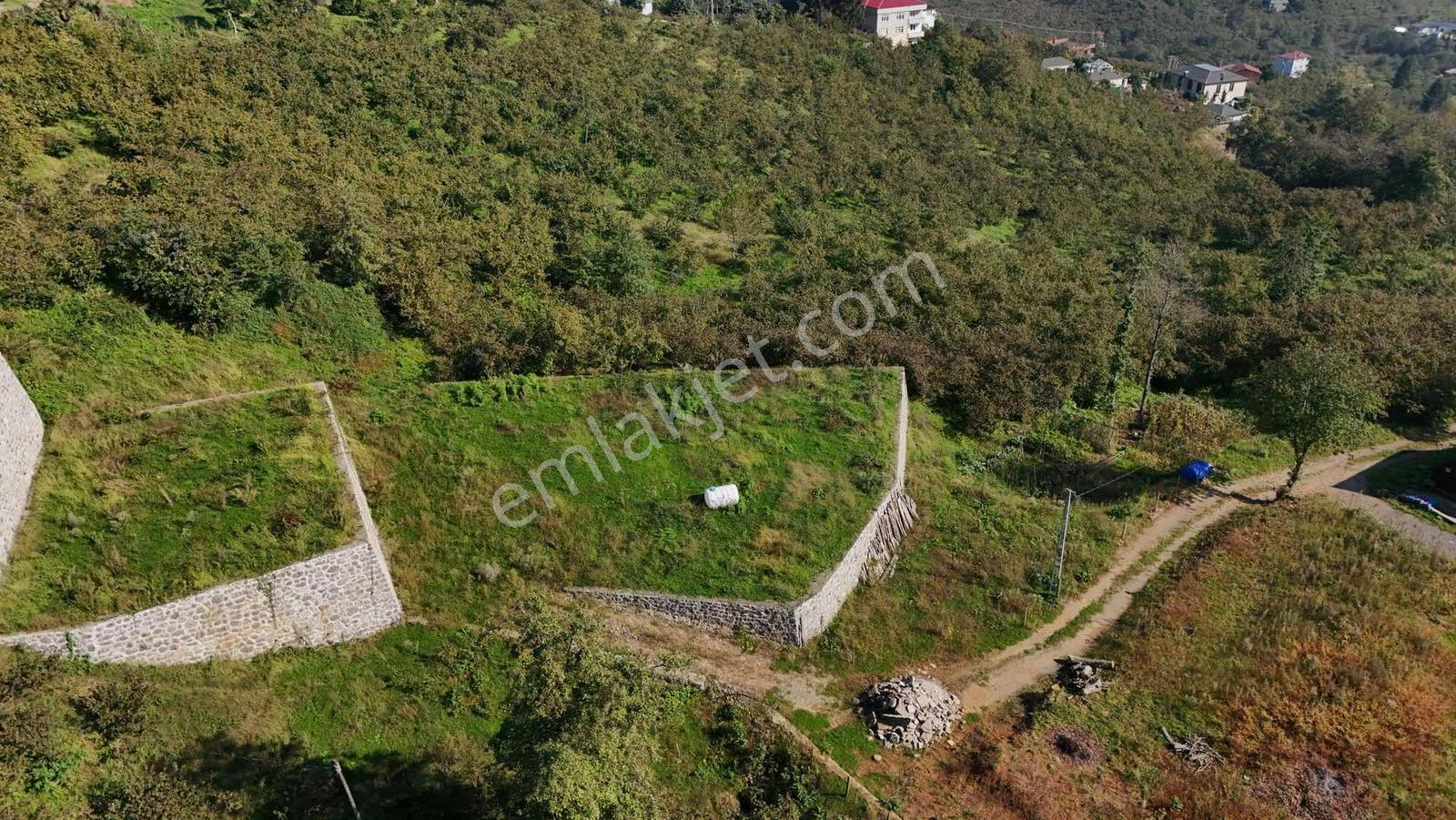 Royal Den Yomra Da Satılık Arsa — fotoğraf 6