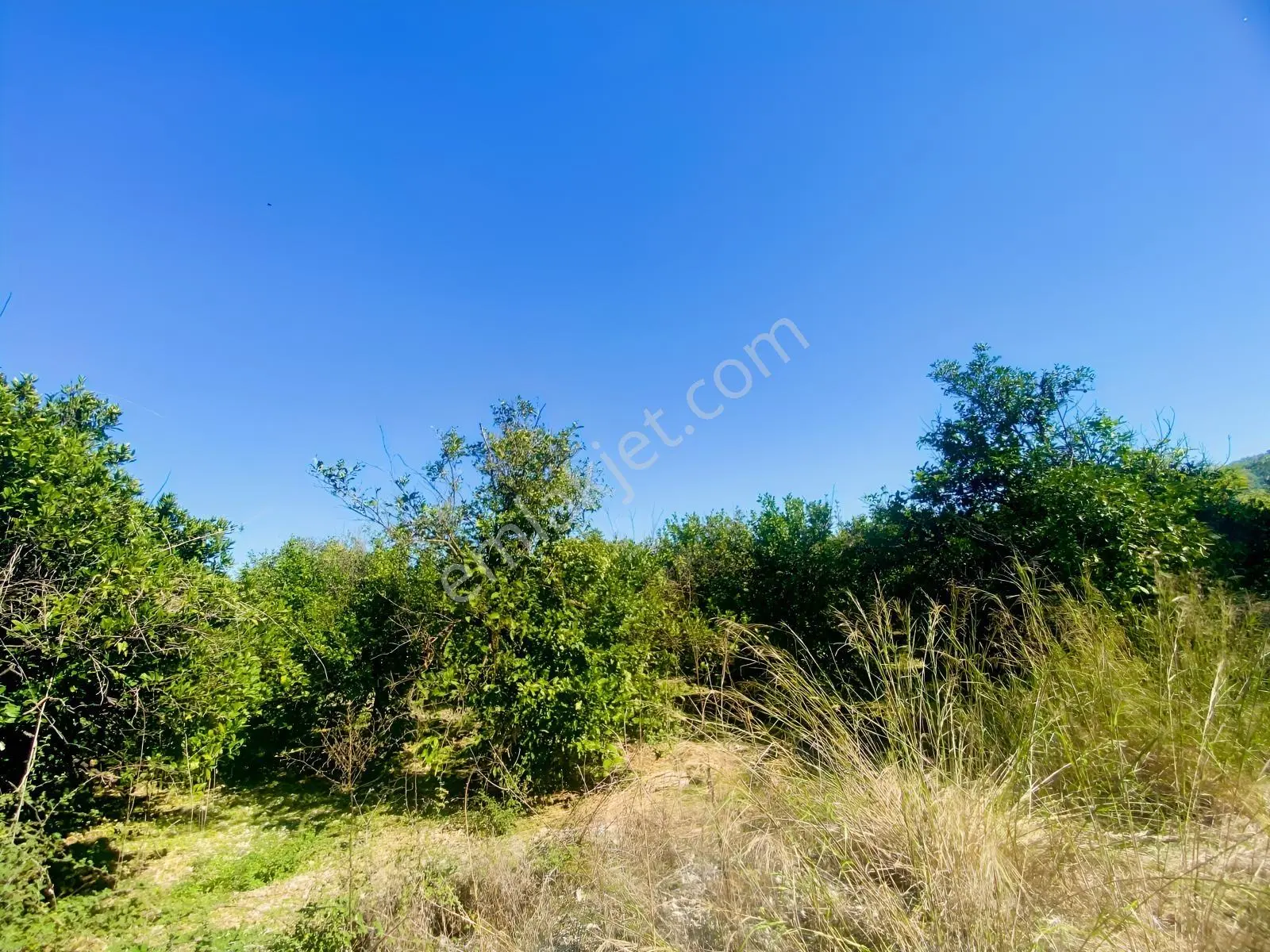 Okçularda Satılık İmarlı Arsa (oka12) — fotoğraf 3