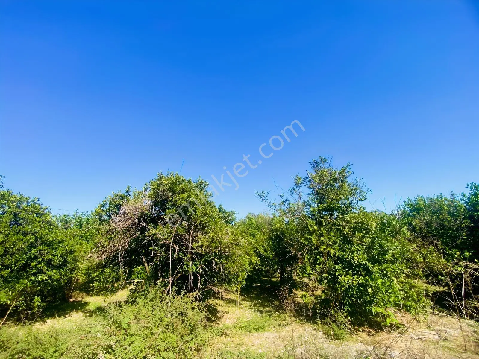 Okçularda Satılık İmarlı Arsa (oka12) — fotoğraf 5