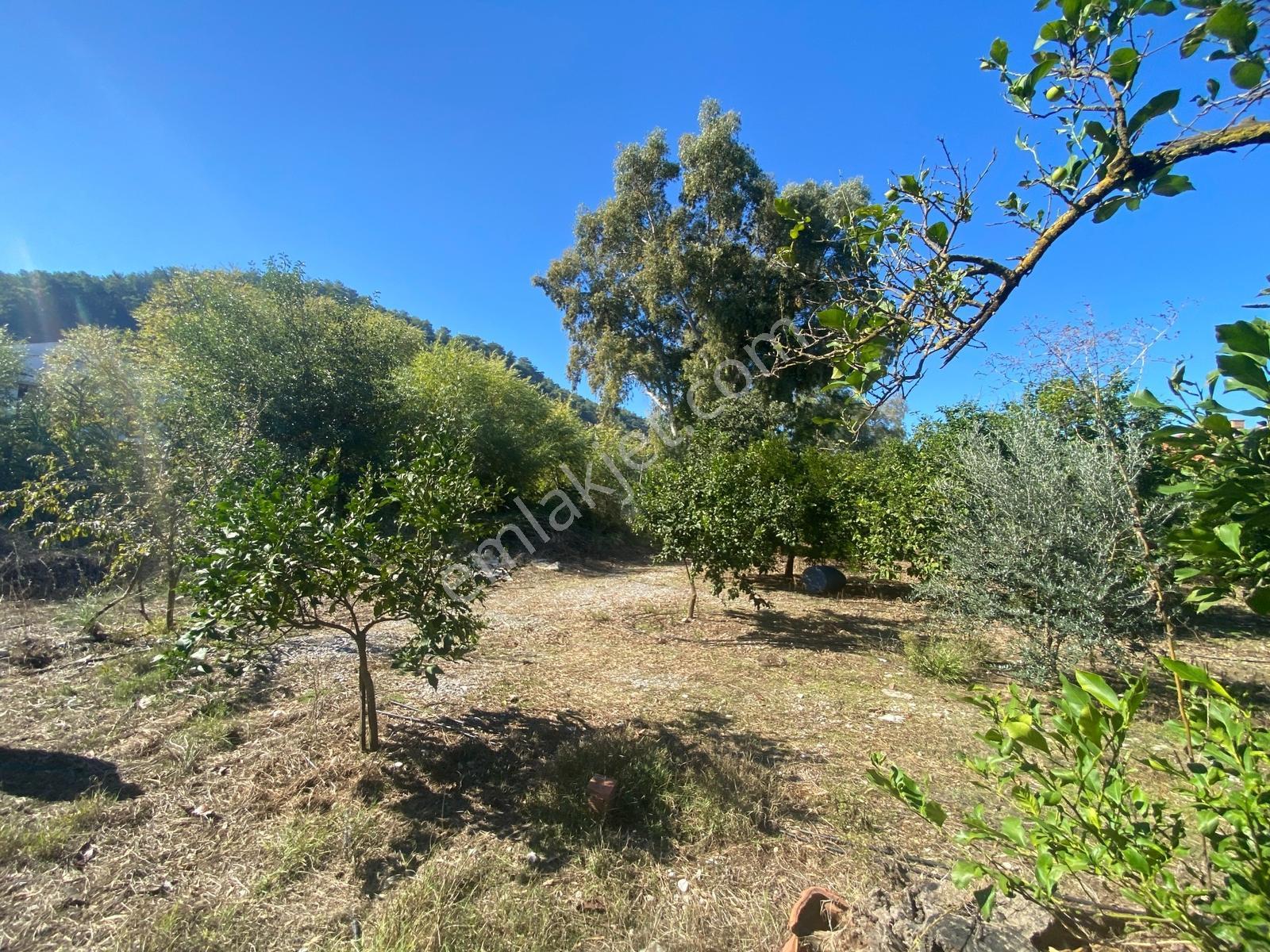 Okçularda Satılık İmarlı Arsa (oka12) — fotoğraf 11