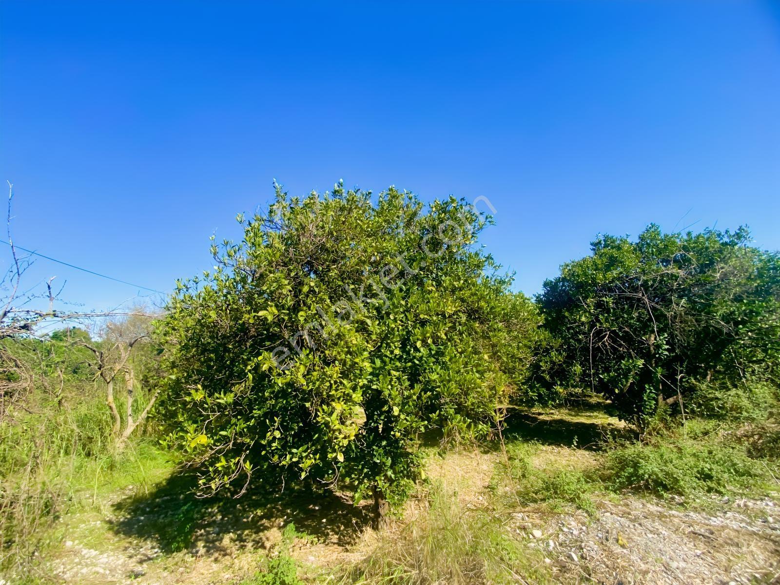 Okçularda Satılık İmarlı Arsa (oka12) — fotoğraf 12