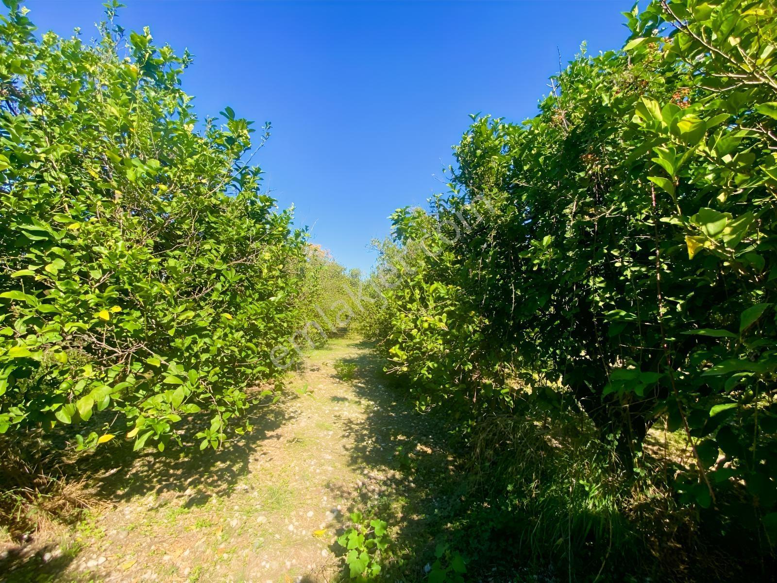 Okçularda Satılık İmarlı Arsa (oka12) — fotoğraf 13