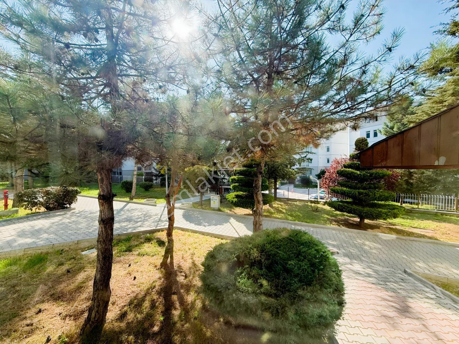 Kentkoop Mahallesinde Mantolamalı Satılık 3+1 Daire — fotoğraf 6