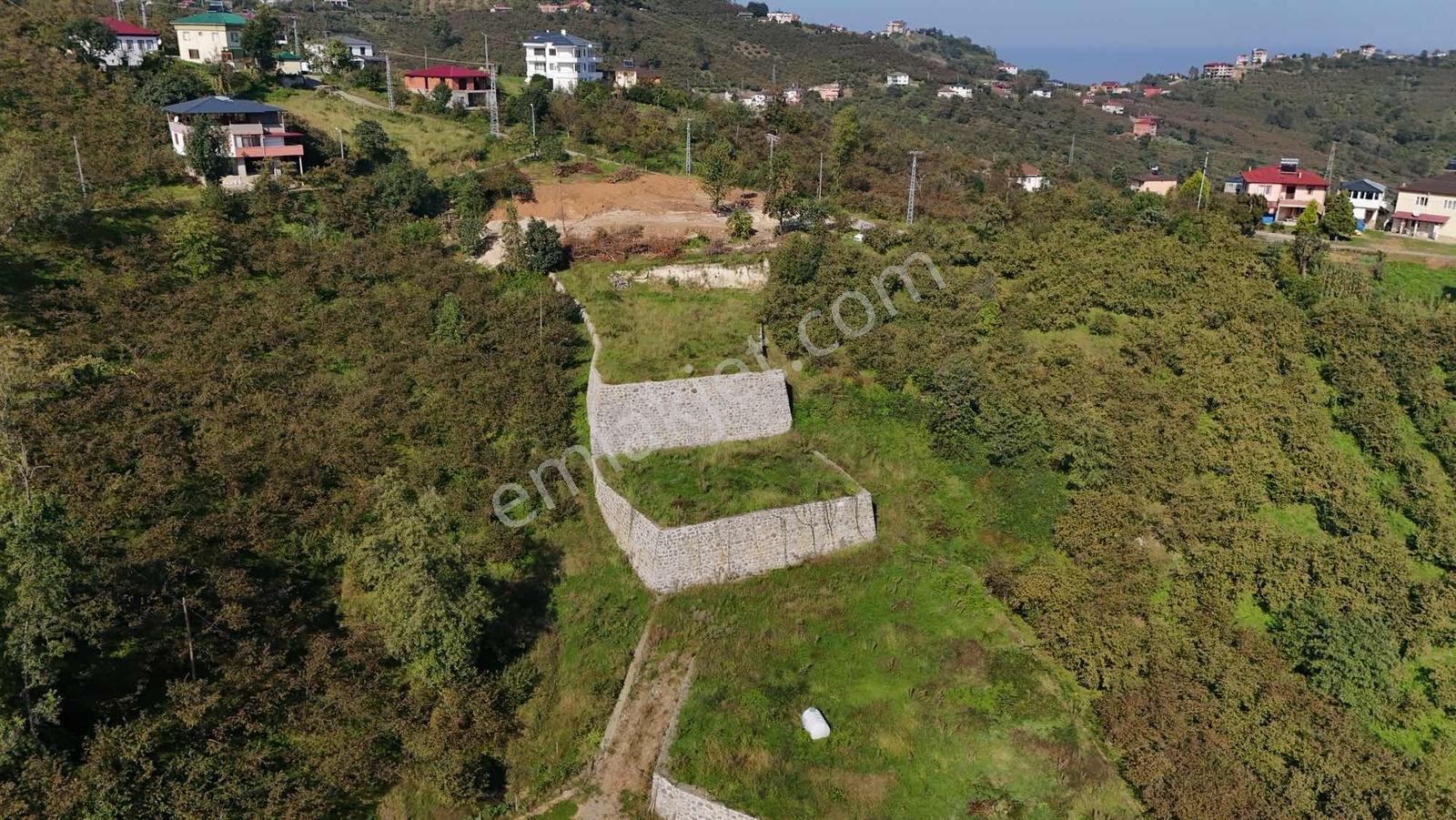 Royal Den Trabzon Yomra Da Satılık Villa Yapımına Uygun Arsa