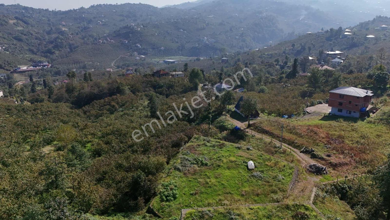Royal Den Trabzon Yomra Da Satılık Villa Yapımına Uygun Arsa — fotoğraf 6