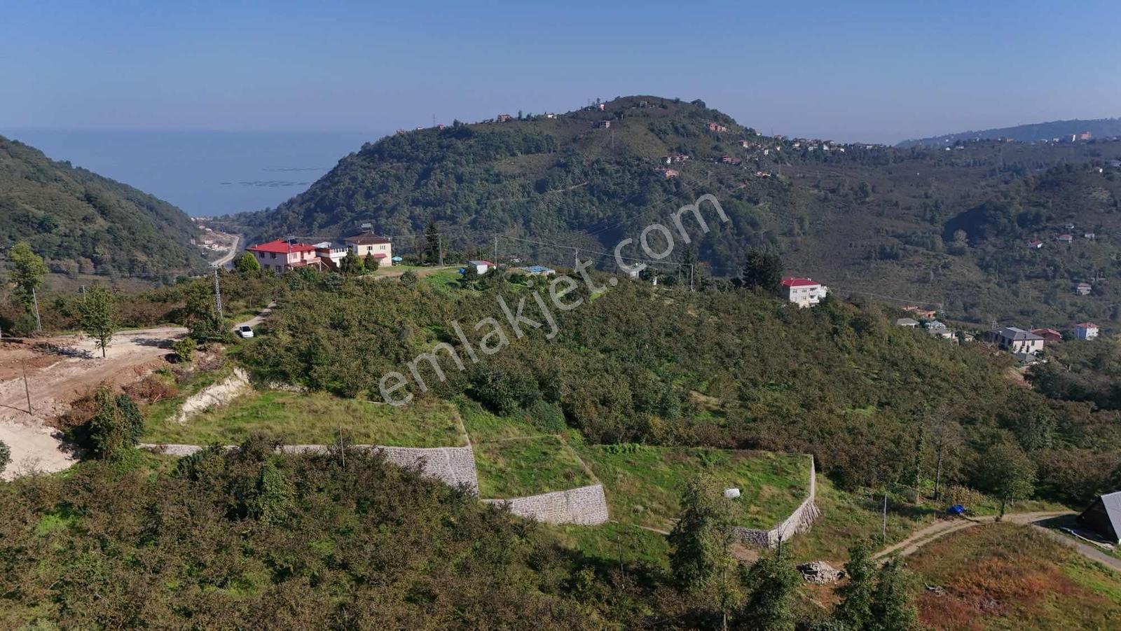 Royal Den Trabzon Yomra Da Satılık Villa Yapımına Uygun Arsa — fotoğraf 7