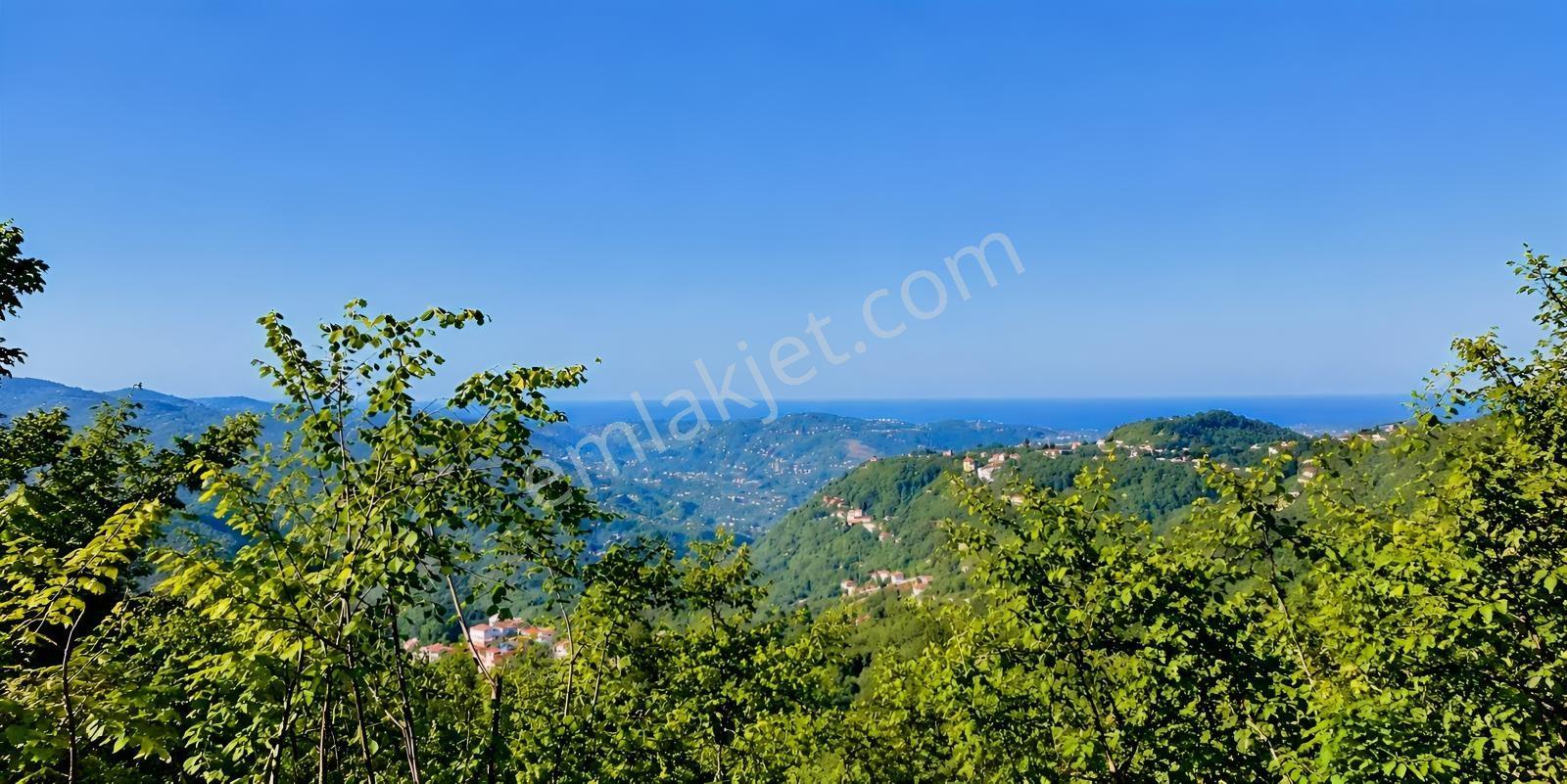 Trabzon Geçit Mahallesi Satılık Arazi