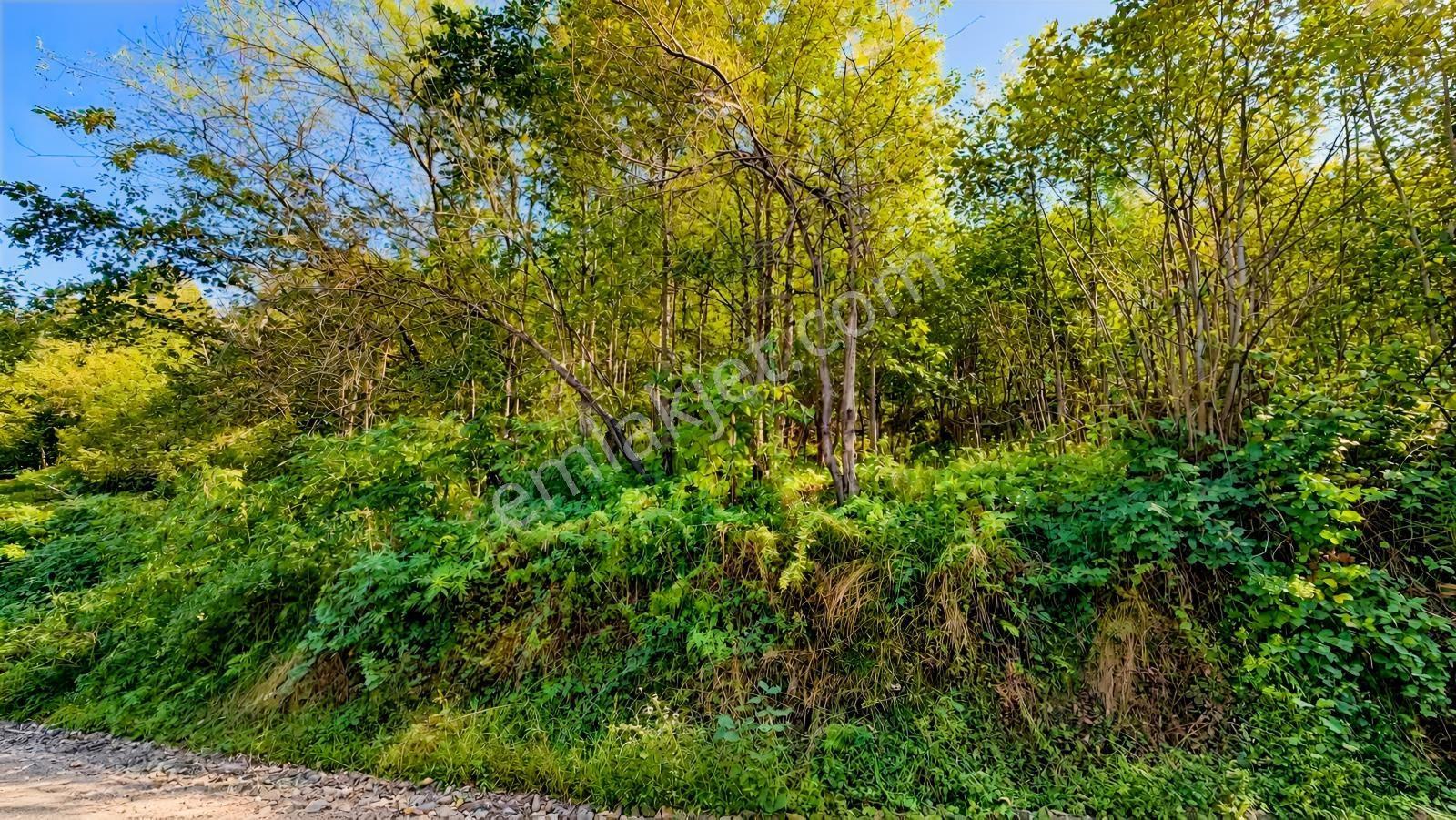 Trabzon Geçit Mahallesi Satılık Arazi — fotoğraf 2