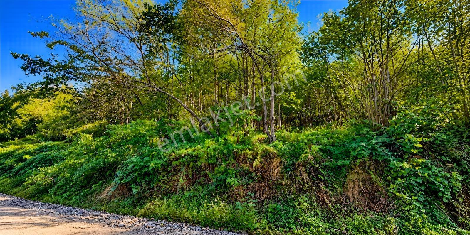 Trabzon Geçit Mahallesi Satılık Arazi — fotoğraf 4