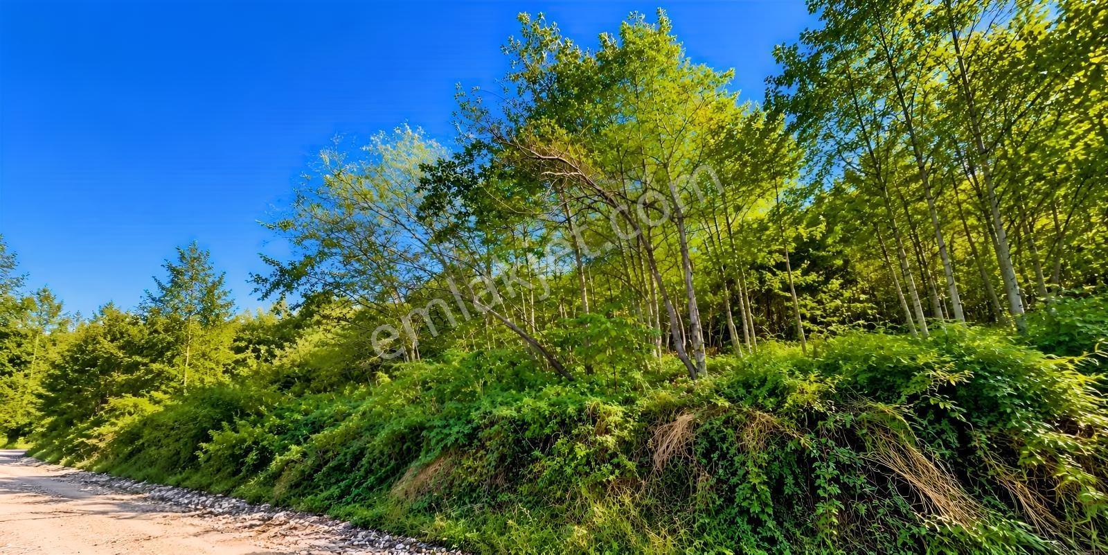 Trabzon Geçit Mahallesi Satılık Arazi — fotoğraf 5