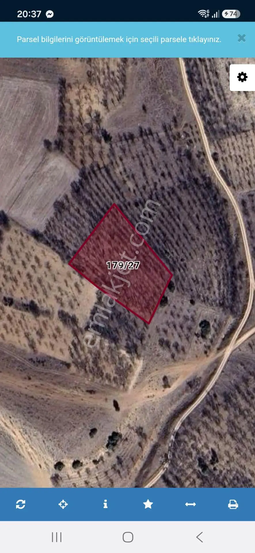 3000 M2 Arazi Yola Sınırı Var. Lavanta Çadırşarına Yakın