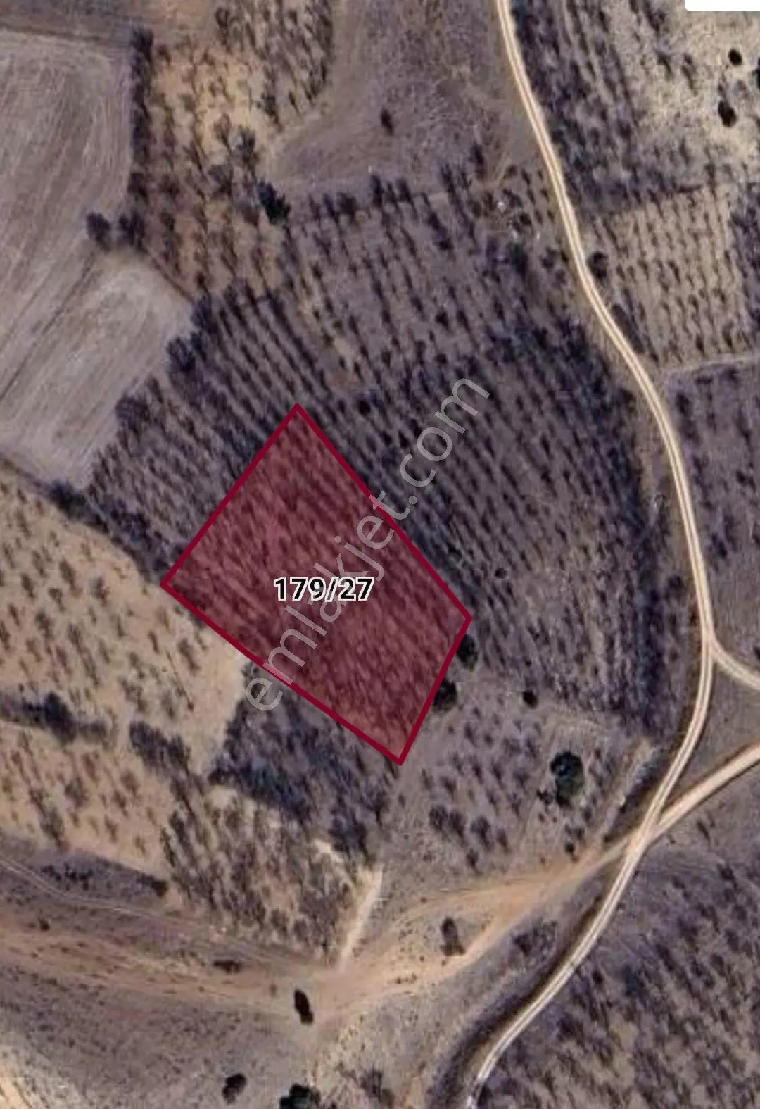 3000 M2 Arazi Yola Sınırı Var. Lavanta Çadırşarına Yakın — fotoğraf 5