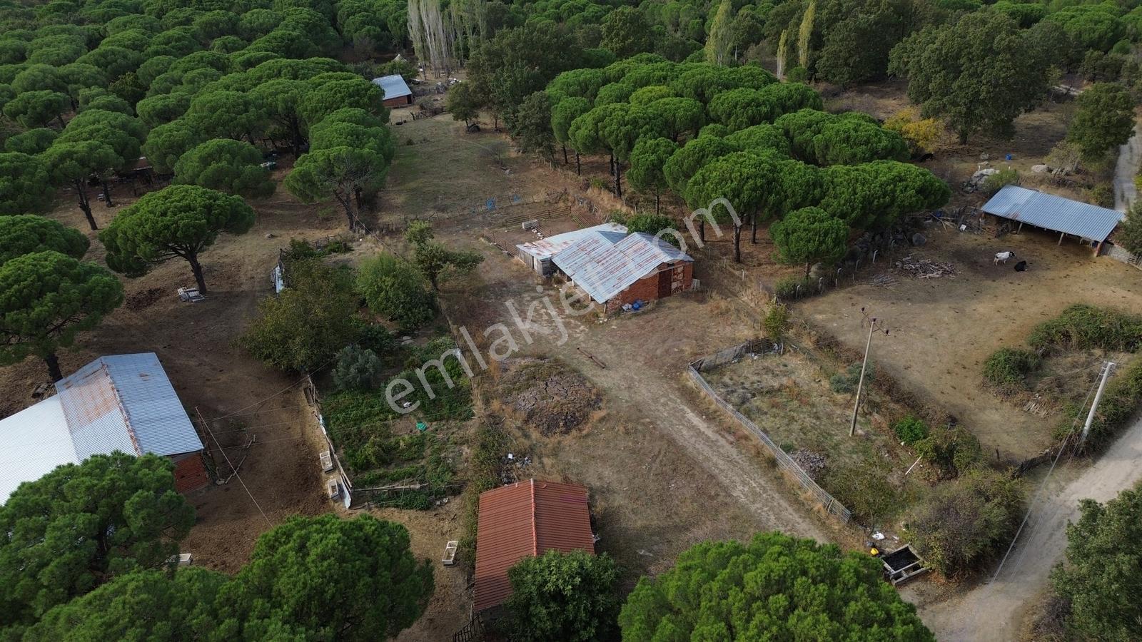 Bergama Kozak Karaveliler Mah'de 250m2 Satılık Konut İmarlı Arsa — fotoğraf 10