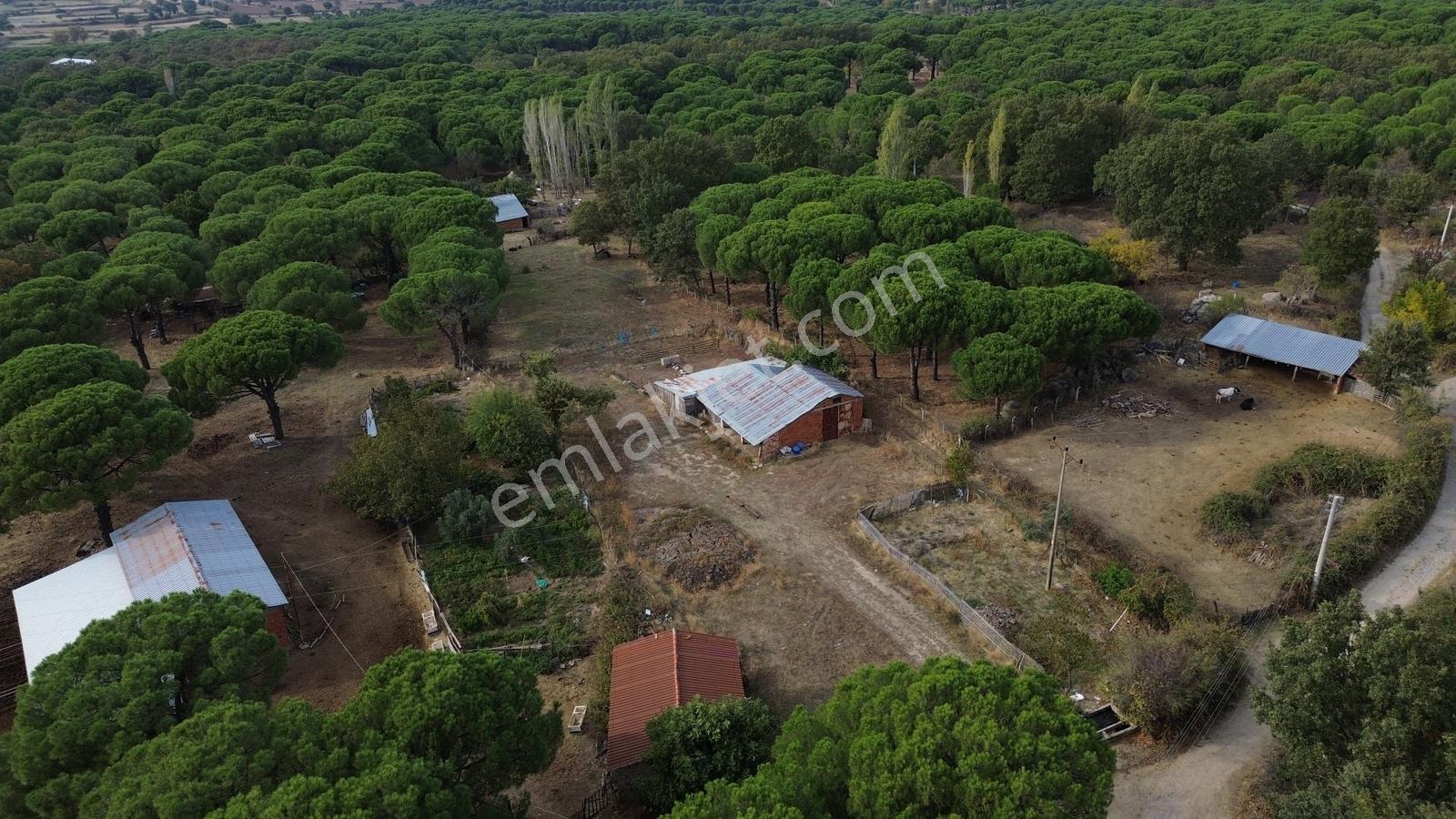 Bergama Kozak Karaveliler Mah'de 250m2 Satılık Konut İmarlı Arsa — fotoğraf 11