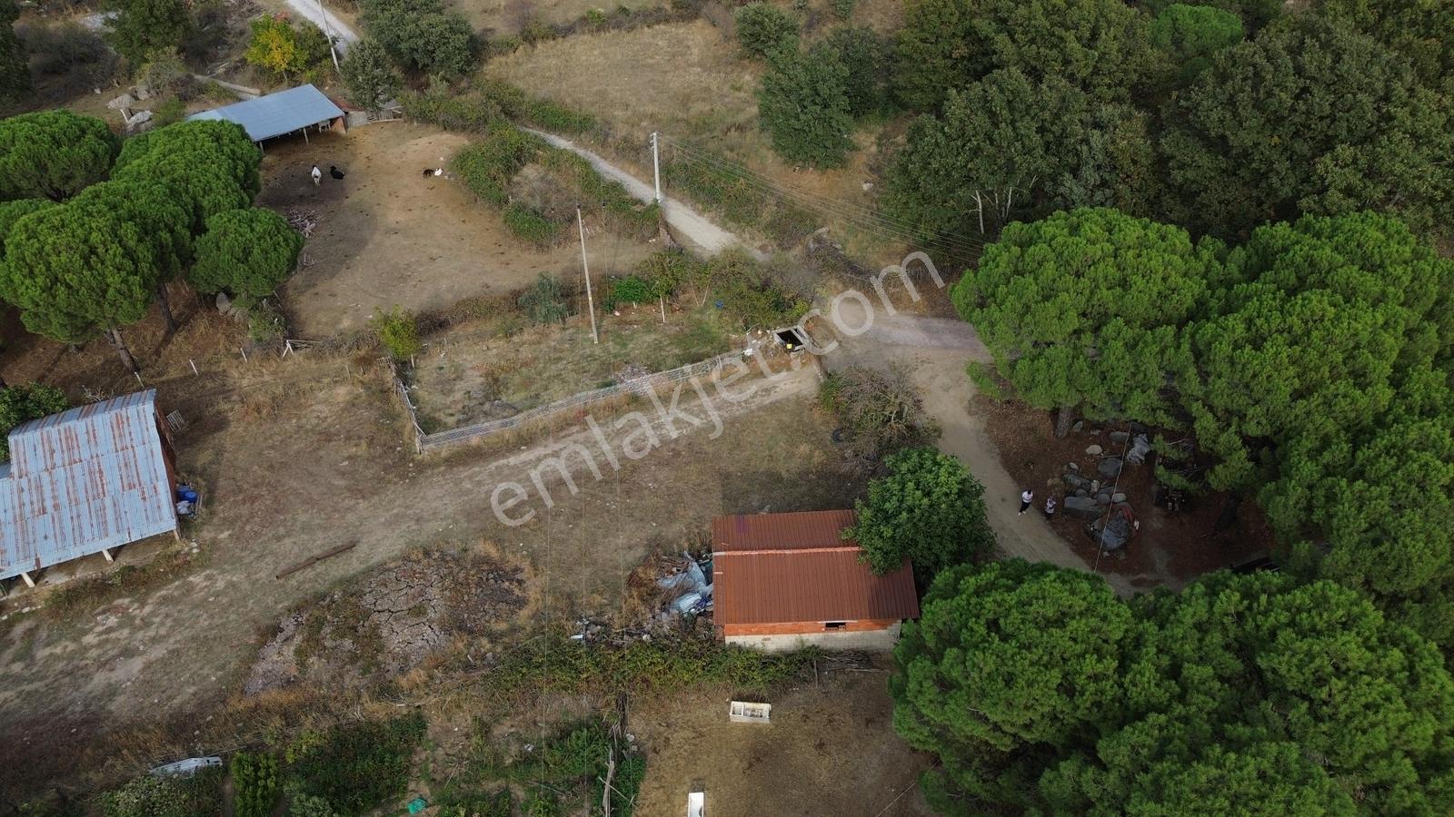 Bergama Kozak Karaveliler Mah'de 250m2 Satılık Konut İmarlı Arsa — fotoğraf 12