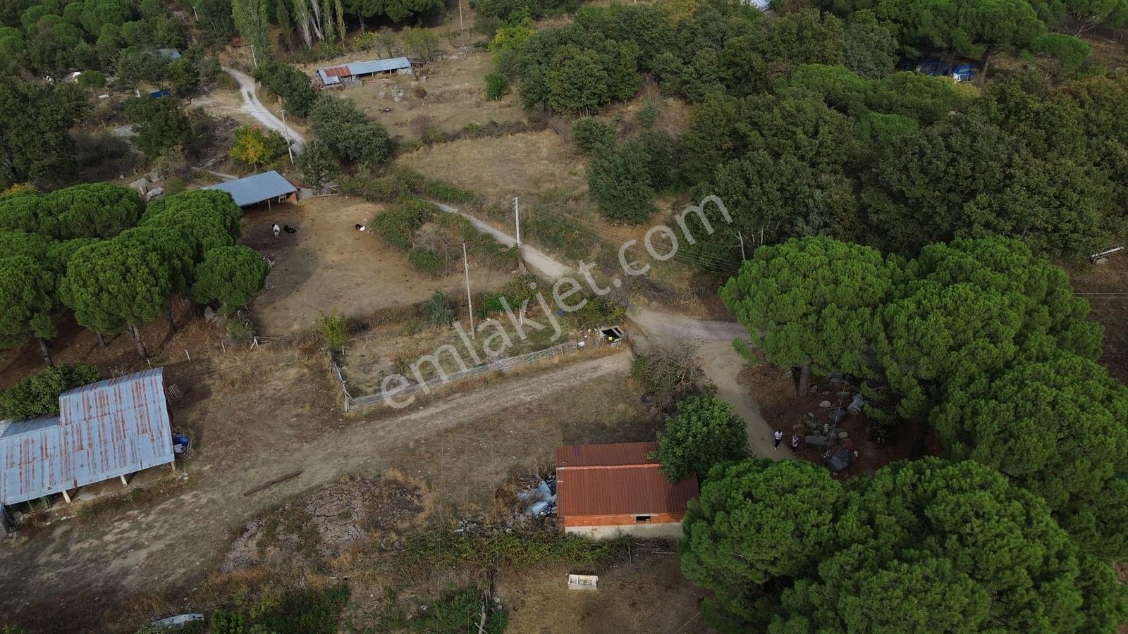 Bergama Kozak Karaveliler Mah'de 250m2 Satılık Konut İmarlı Arsa — fotoğraf 13
