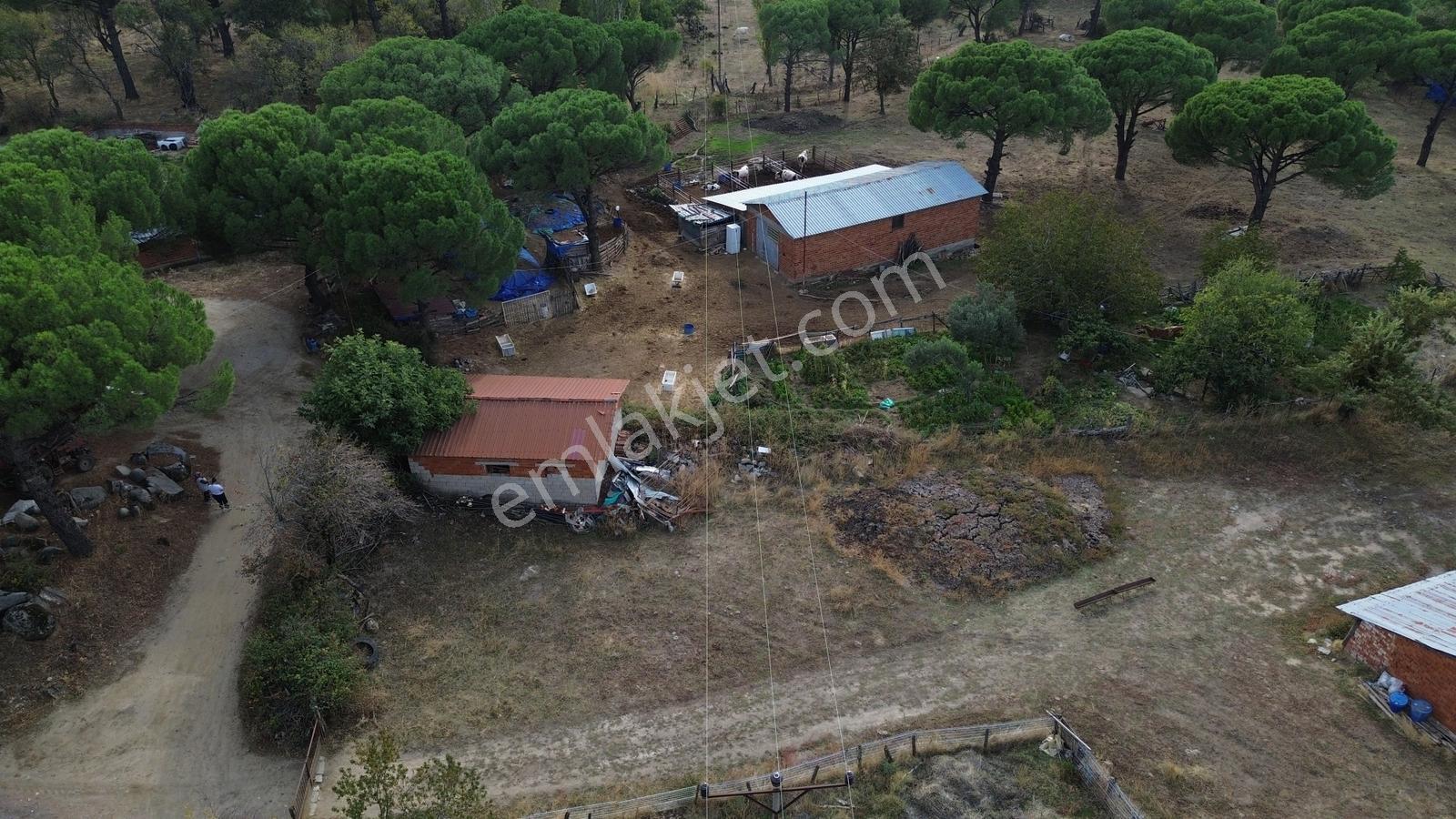 Bergama Kozak Karaveliler Mah'de 250m2 Satılık Konut İmarlı Arsa — fotoğraf 21