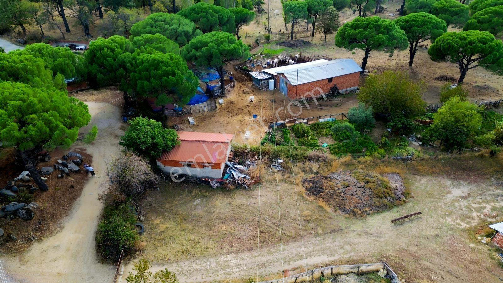 Bergama Kozak Karaveliler Mah'de 250m2 Satılık Konut İmarlı Arsa — fotoğraf 22