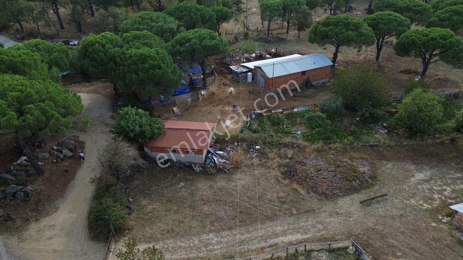 Bergama Kozak Karaveliler Mah'de 250m2 Satılık Konut İmarlı Arsa — fotoğraf 23