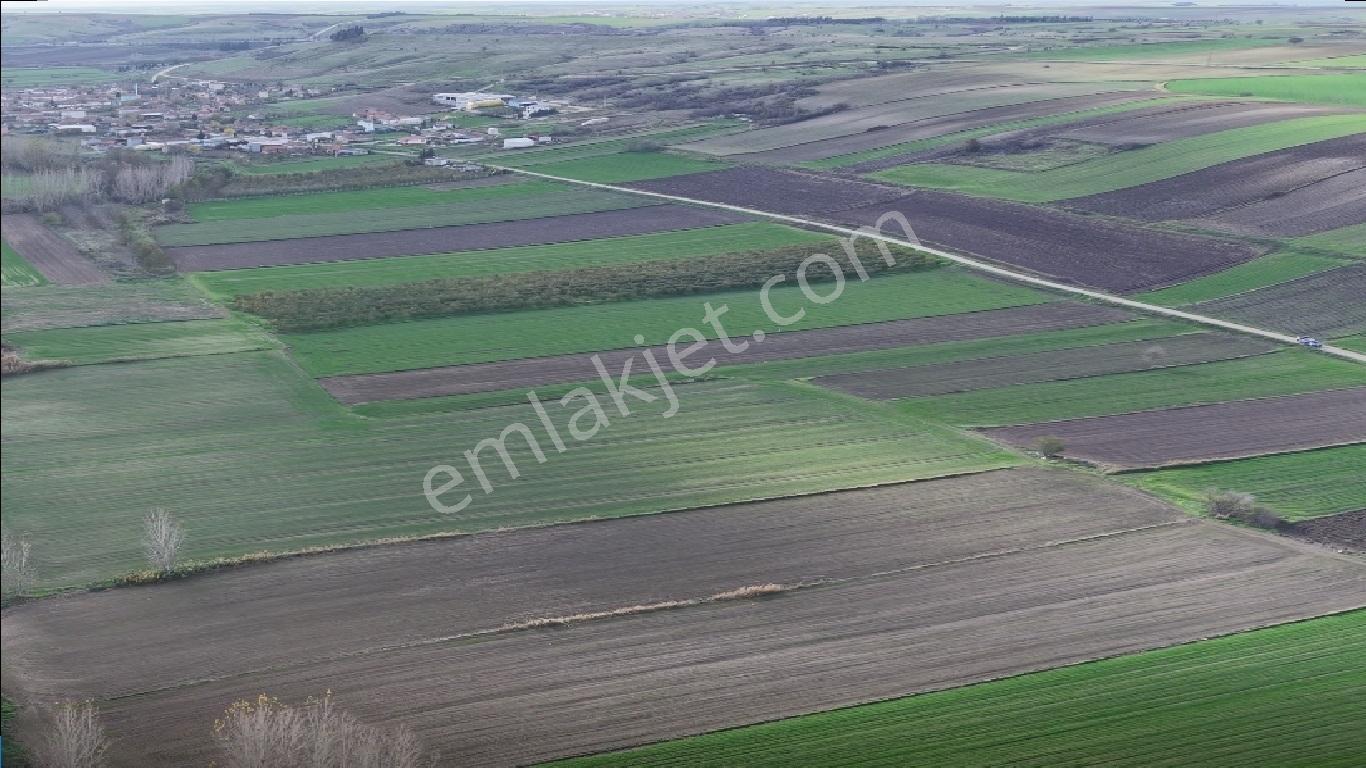 Babaeski Ye Bağlı Kuzuçardağı Köyünde Satılık Tarla