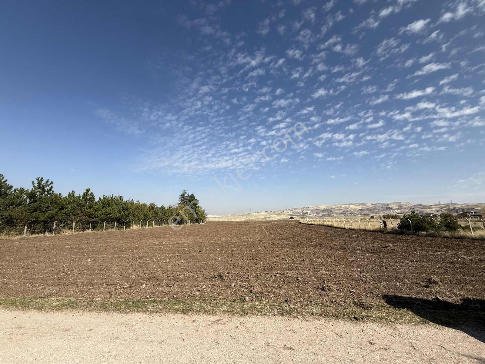 Gölbaşı Yurtbeyinde 580 M² Numaratajlı, Tokiye Yakın Hisseli — fotoğraf 7