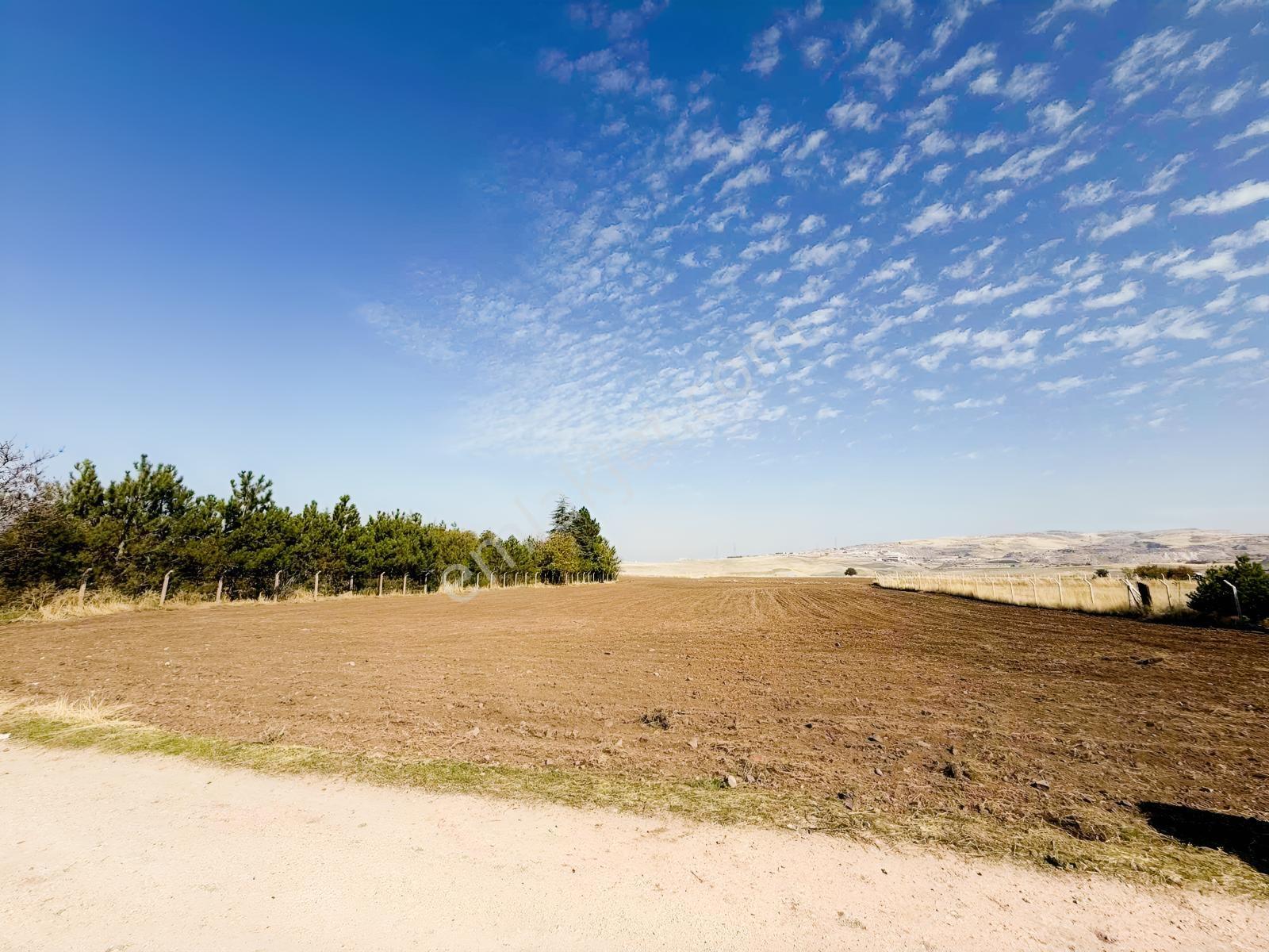 Gölbaşı Yurtbeyinde 580 M² Numaratajlı, Tokiye Yakın Hisseli — fotoğraf 24