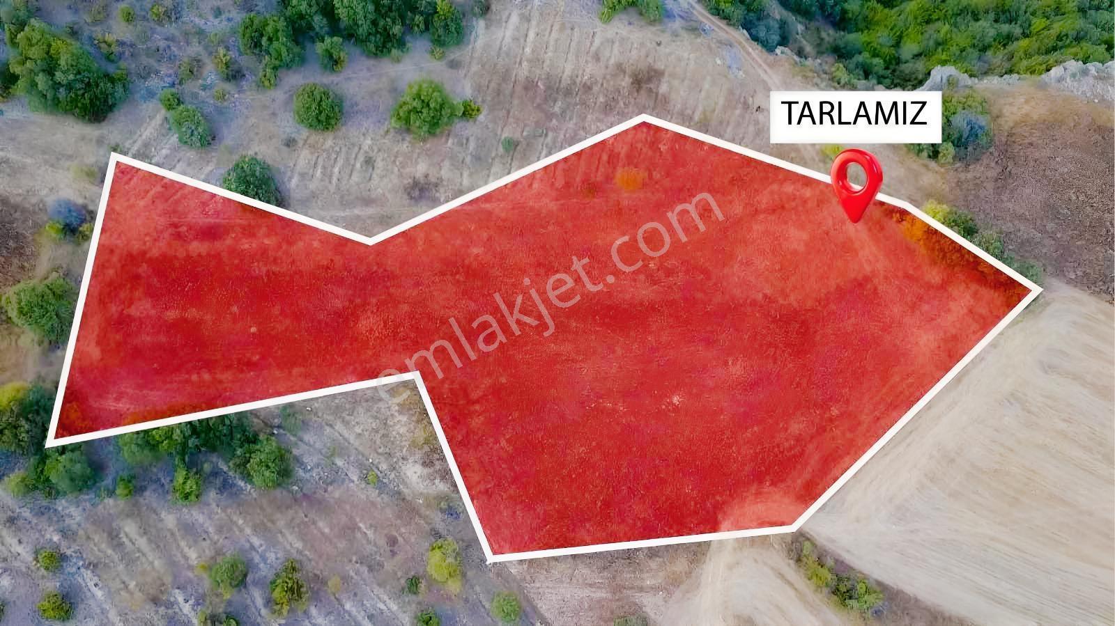 Bolu Göynük Kilciler Mah. 6.600 M2 Satılık Tarla — fotoğraf 4