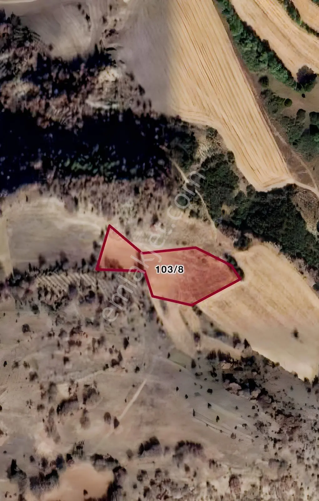 Bolu Göynük Kilciler Mah. 6.600 M2 Satılık Tarla — fotoğraf 5