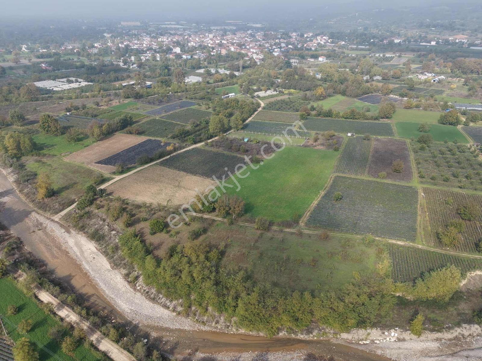 Dua Gayrimenkulden Satılık Fırsat Tarla! — fotoğraf 8