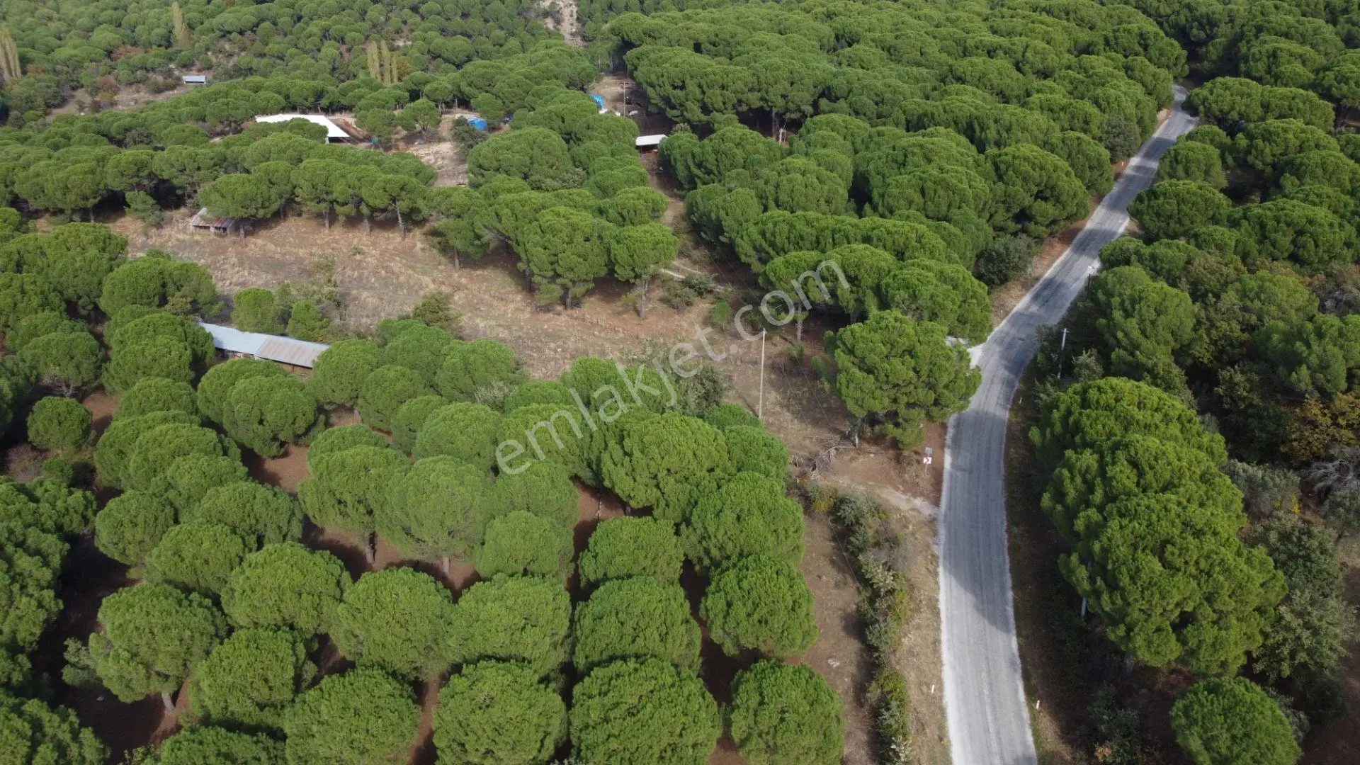 Kozak Karaveliler’de Asfalt Yola Cepheli 12.126 M² Satılık Tarla — fotoğraf 3